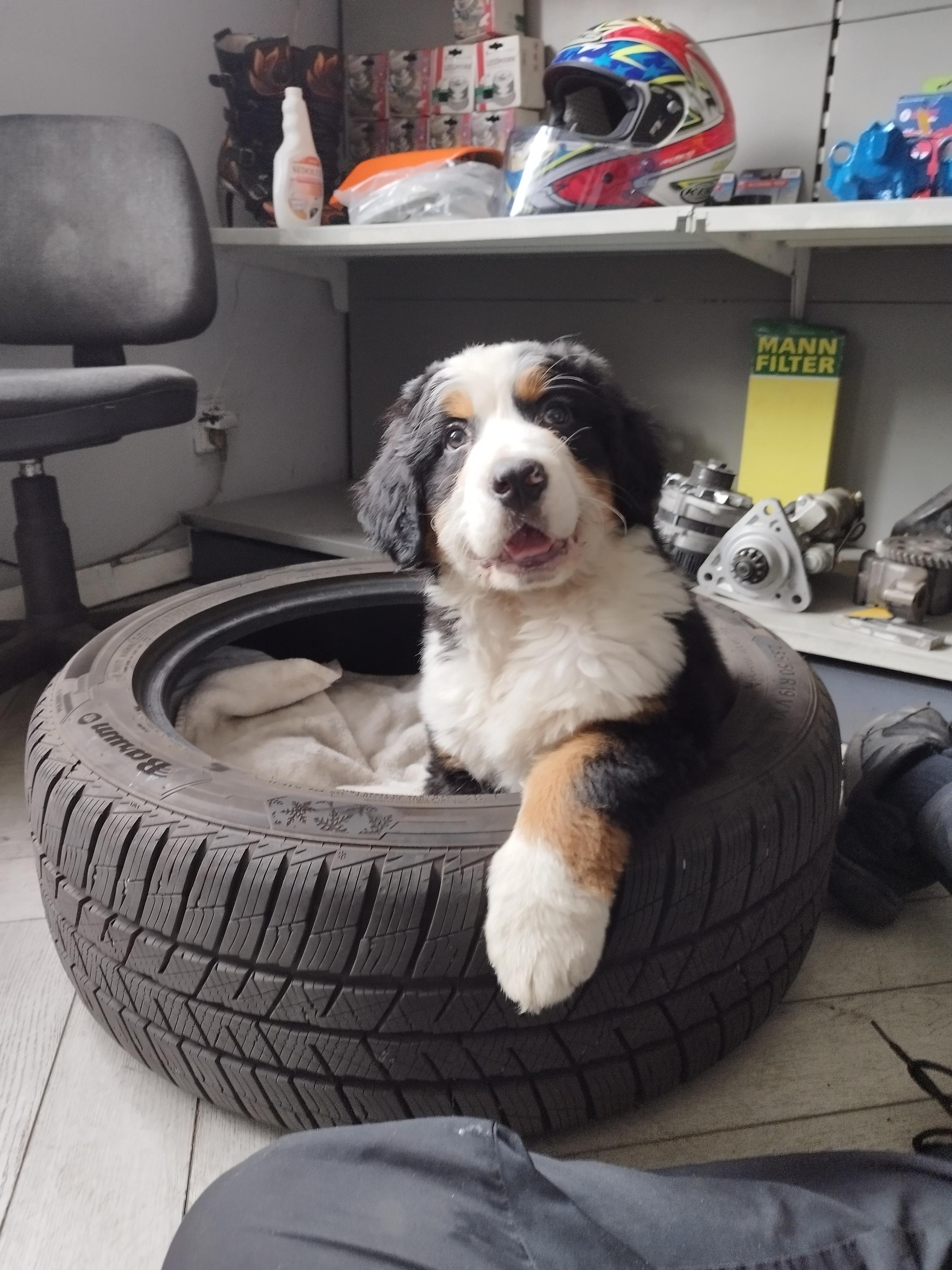 Autoservis & Pneuservis - Bestcar foto 2