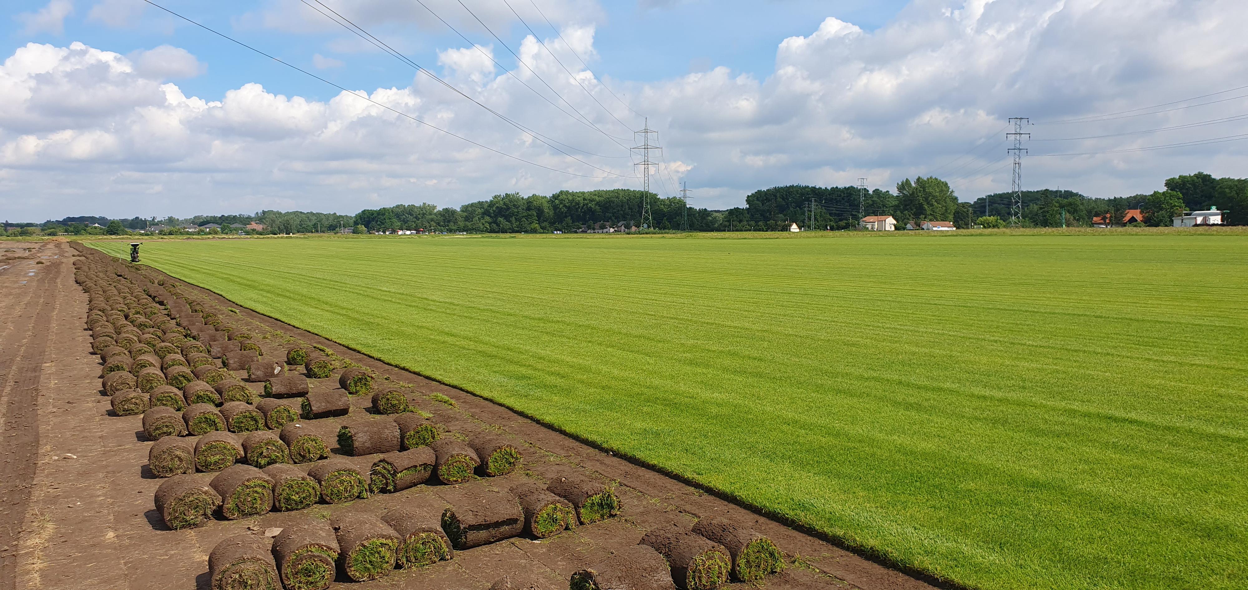 Travní koberce a zavlažovací systémy foto 5