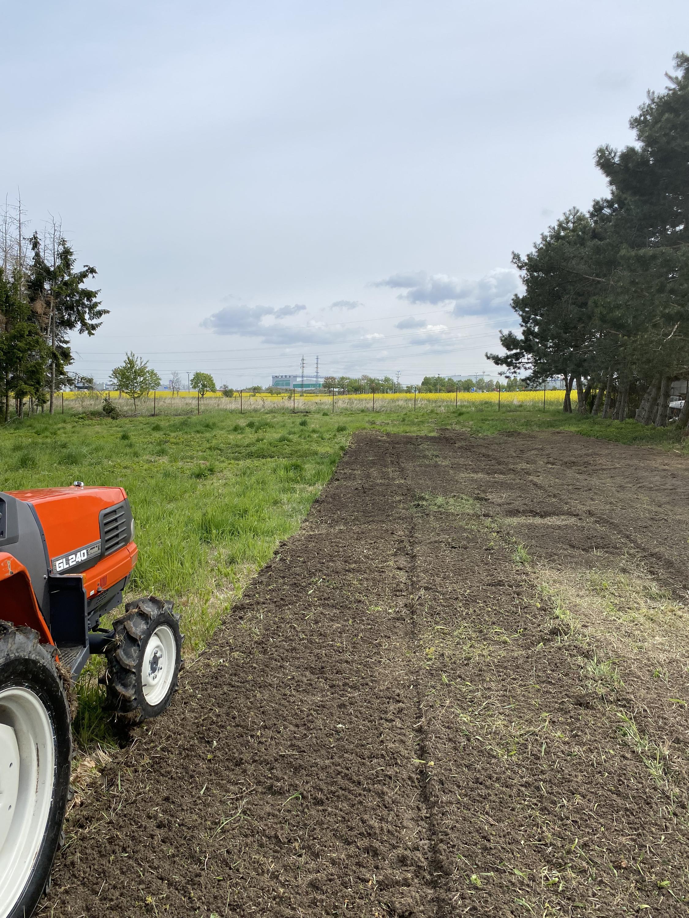 SAD ZAHRADA LES s.r.o. foto 5