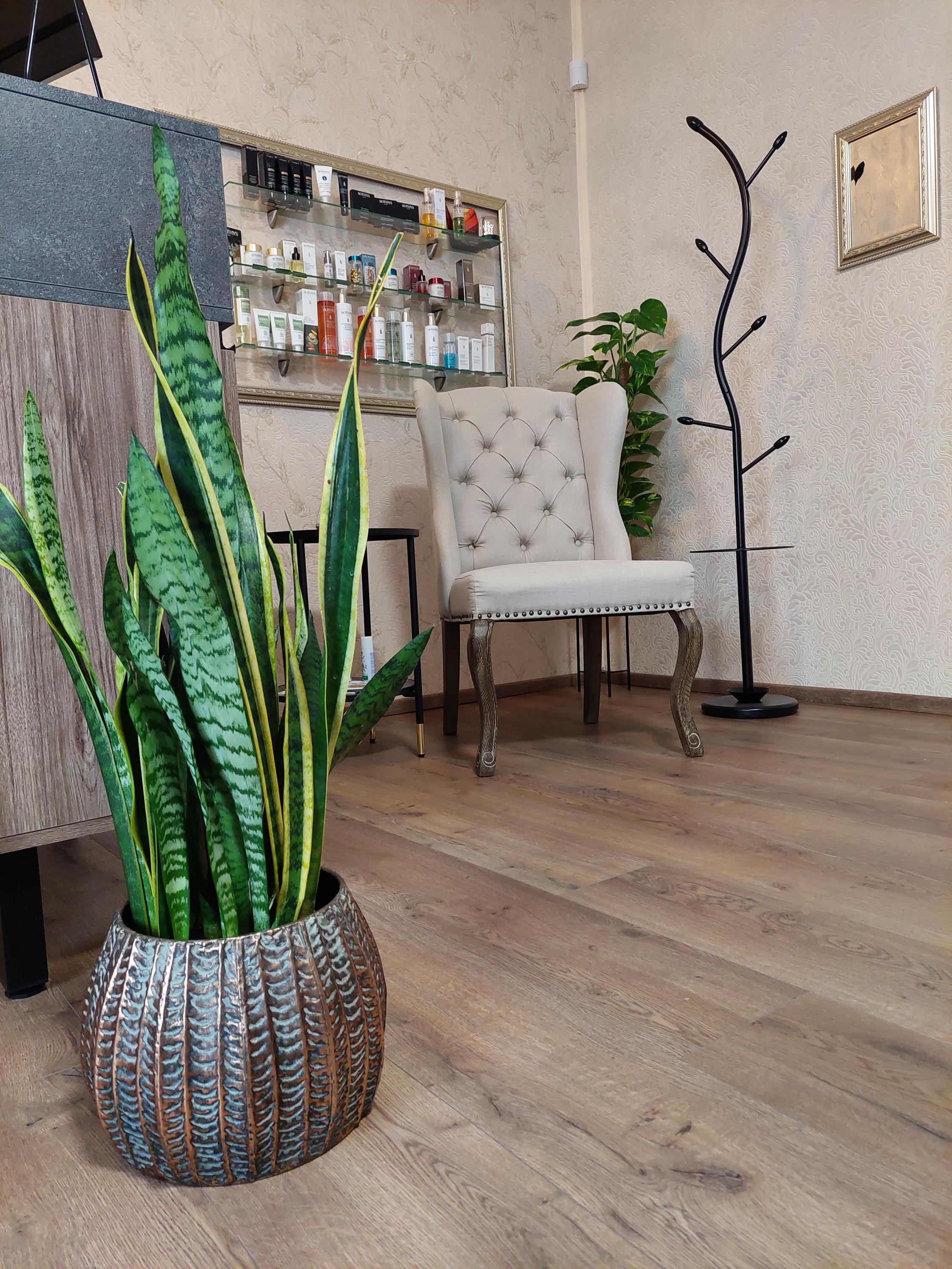 Kosmetický salon DEVERO foto 4