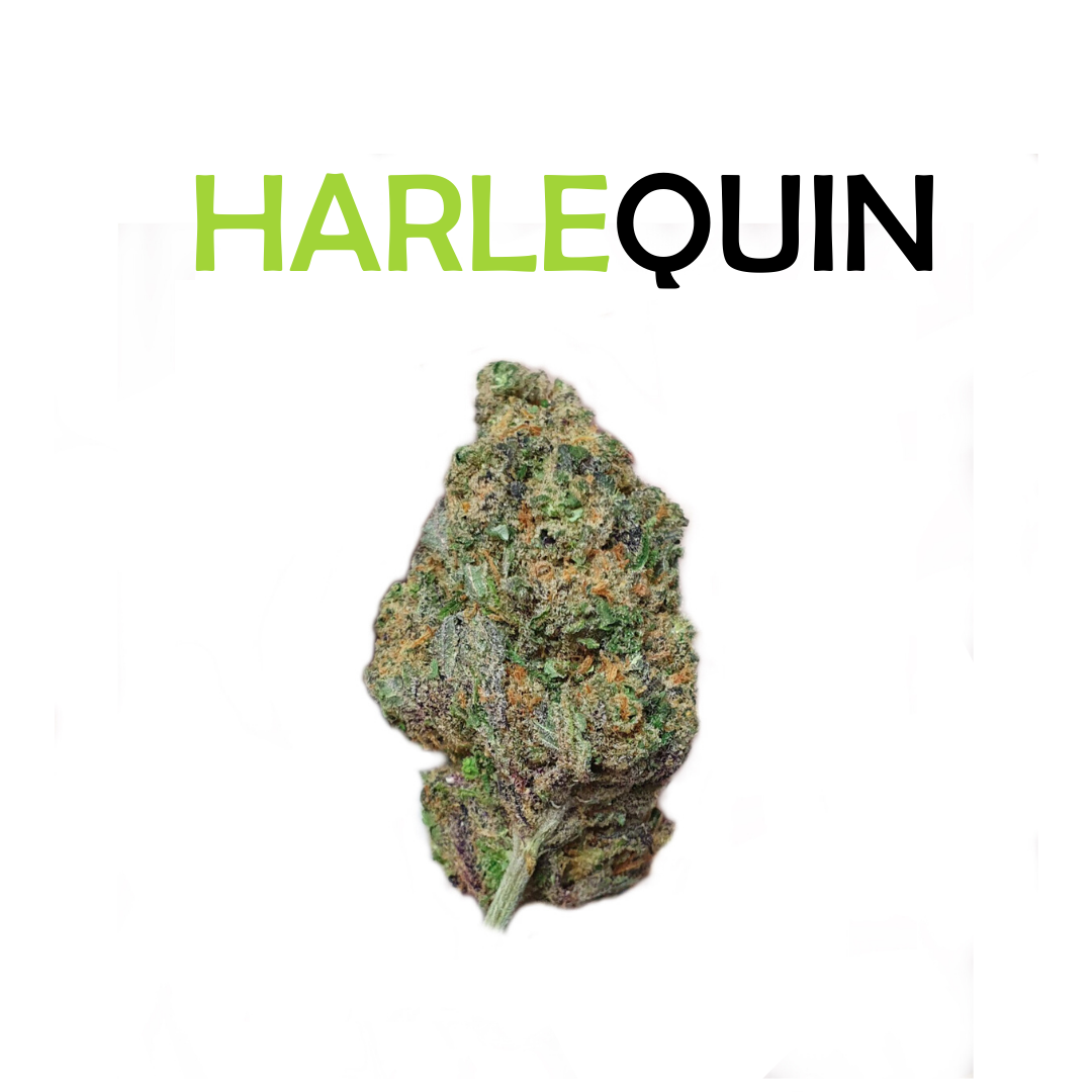 Realitní makléř Filip Hron foto 2