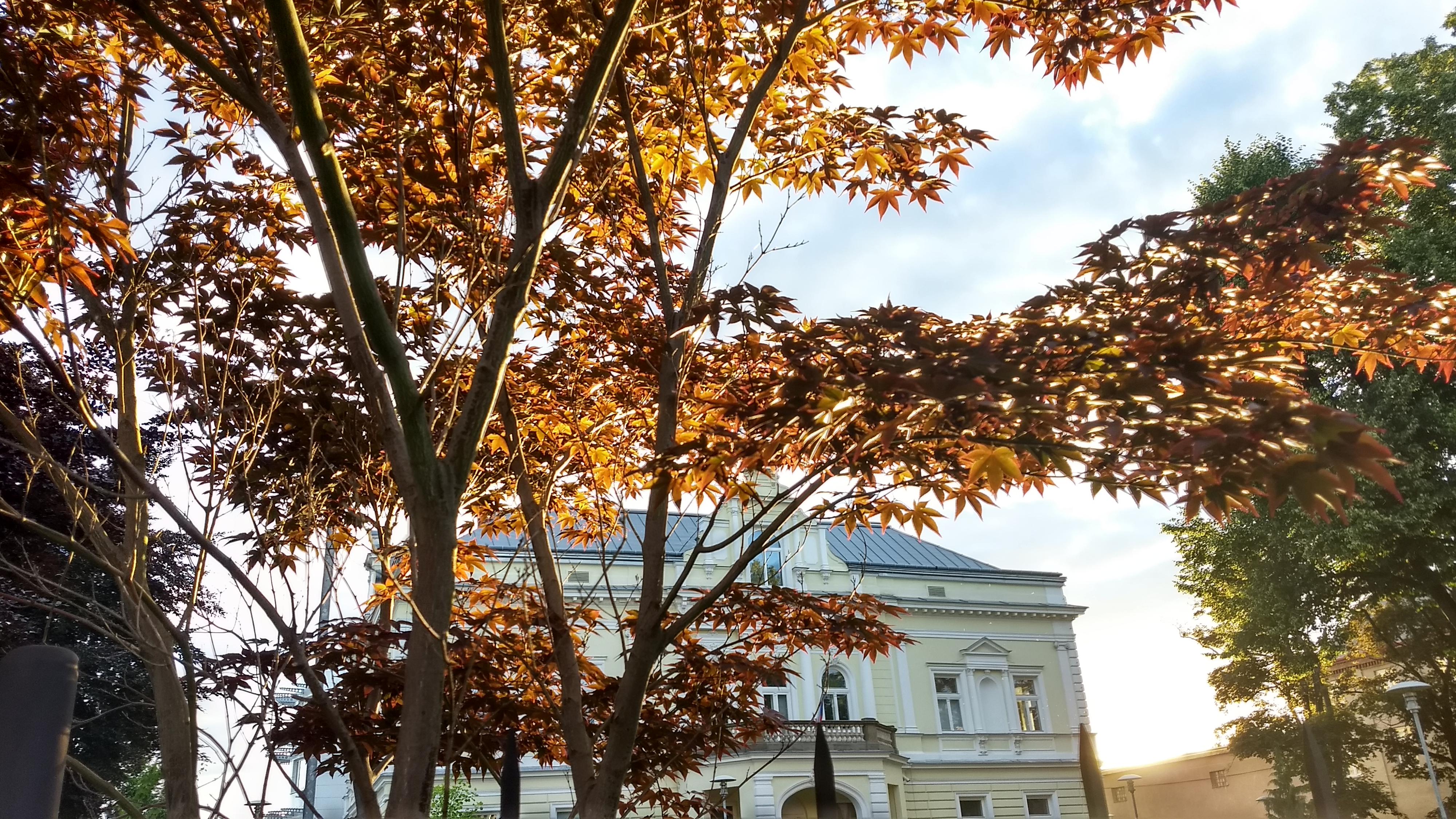 Okresní soud ve Svitavách foto 3