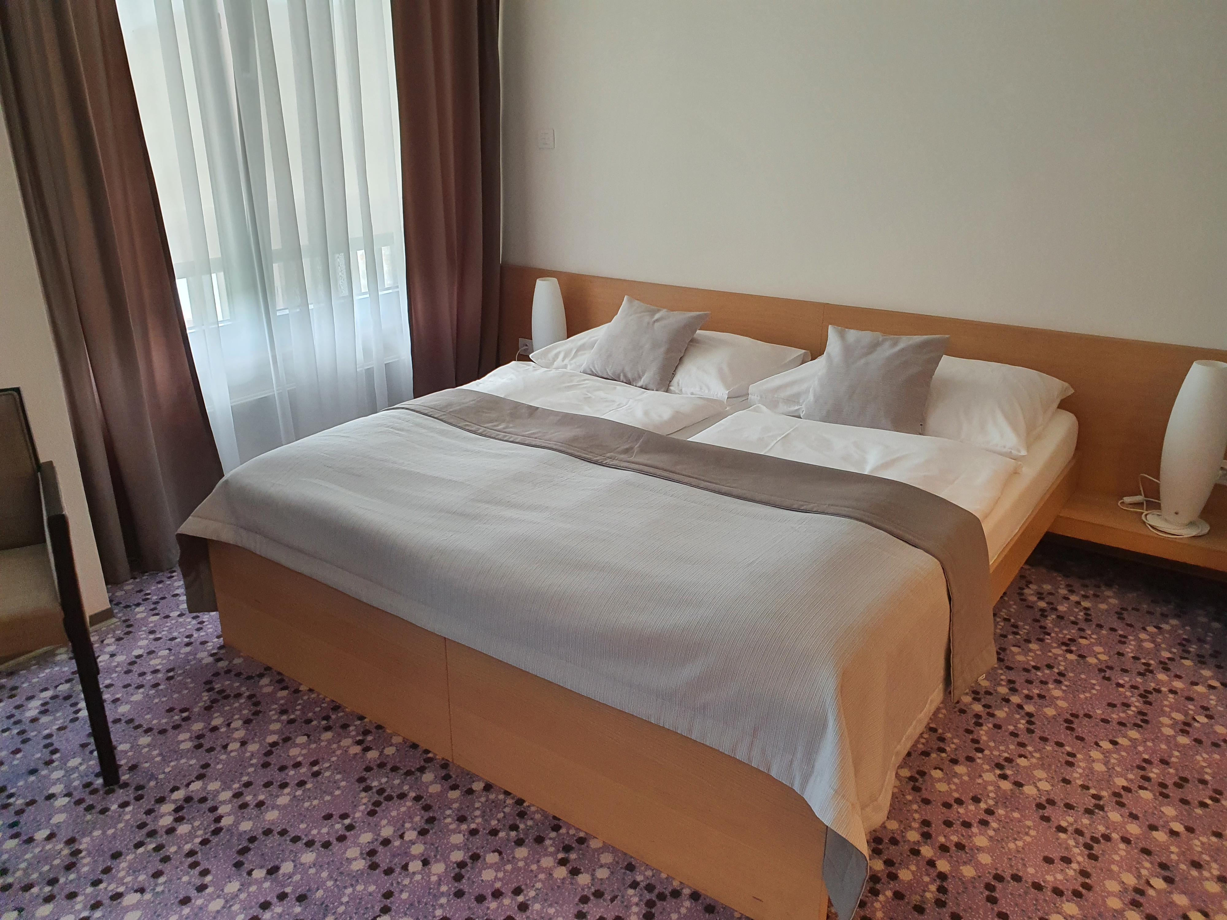 HOTEL VINICE HNANICE foto 6