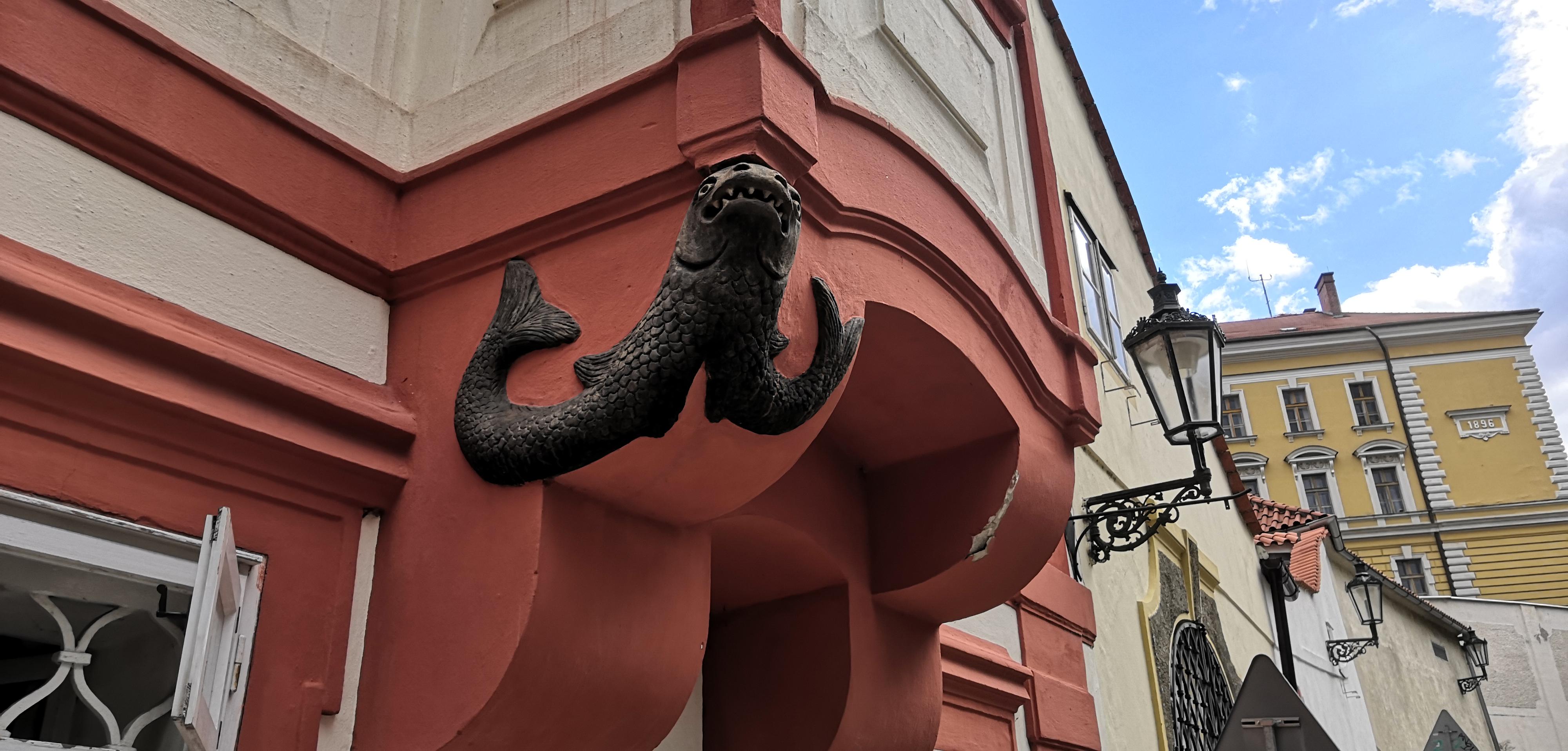 Galerie Nový Svět foto 3