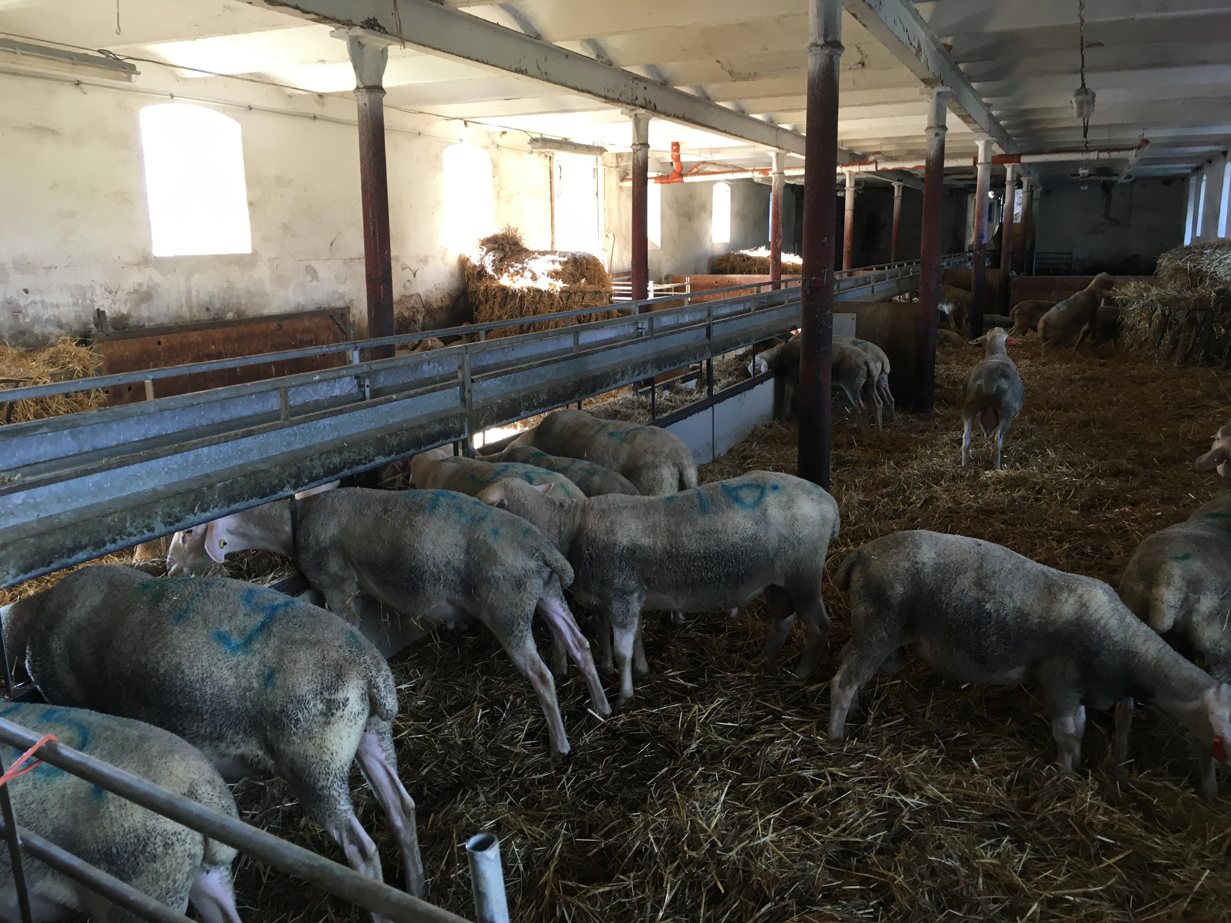 Hospoda Na statku foto 4