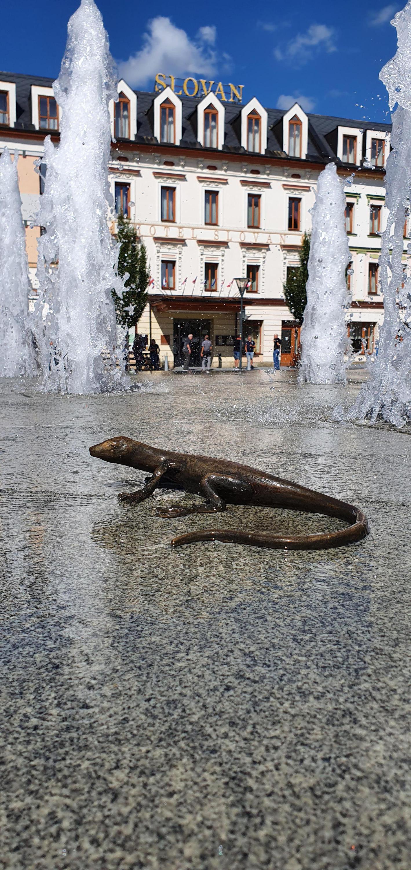 Hotel Slovan foto 6