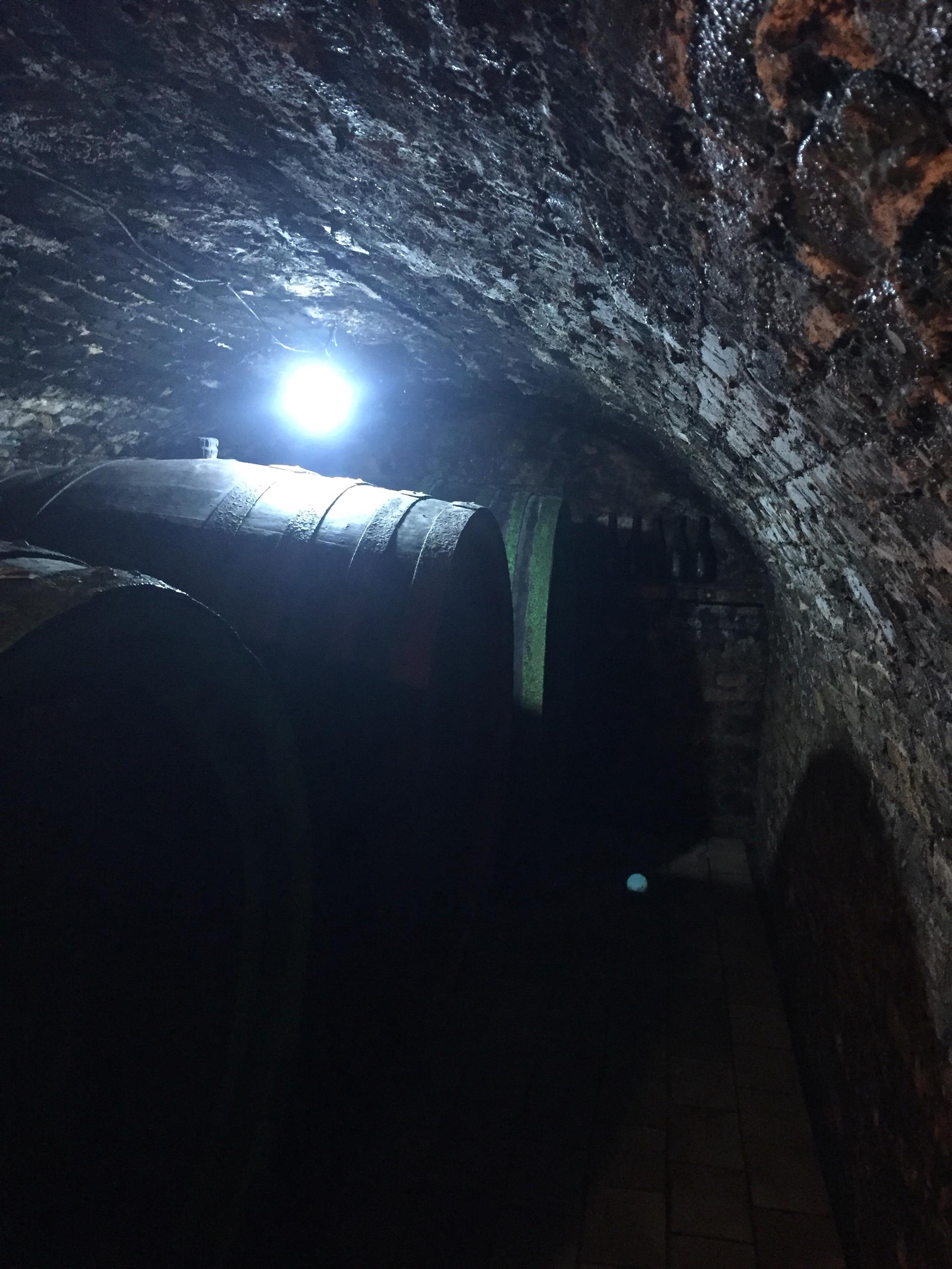 Libor Famfrla- vinař foto 3