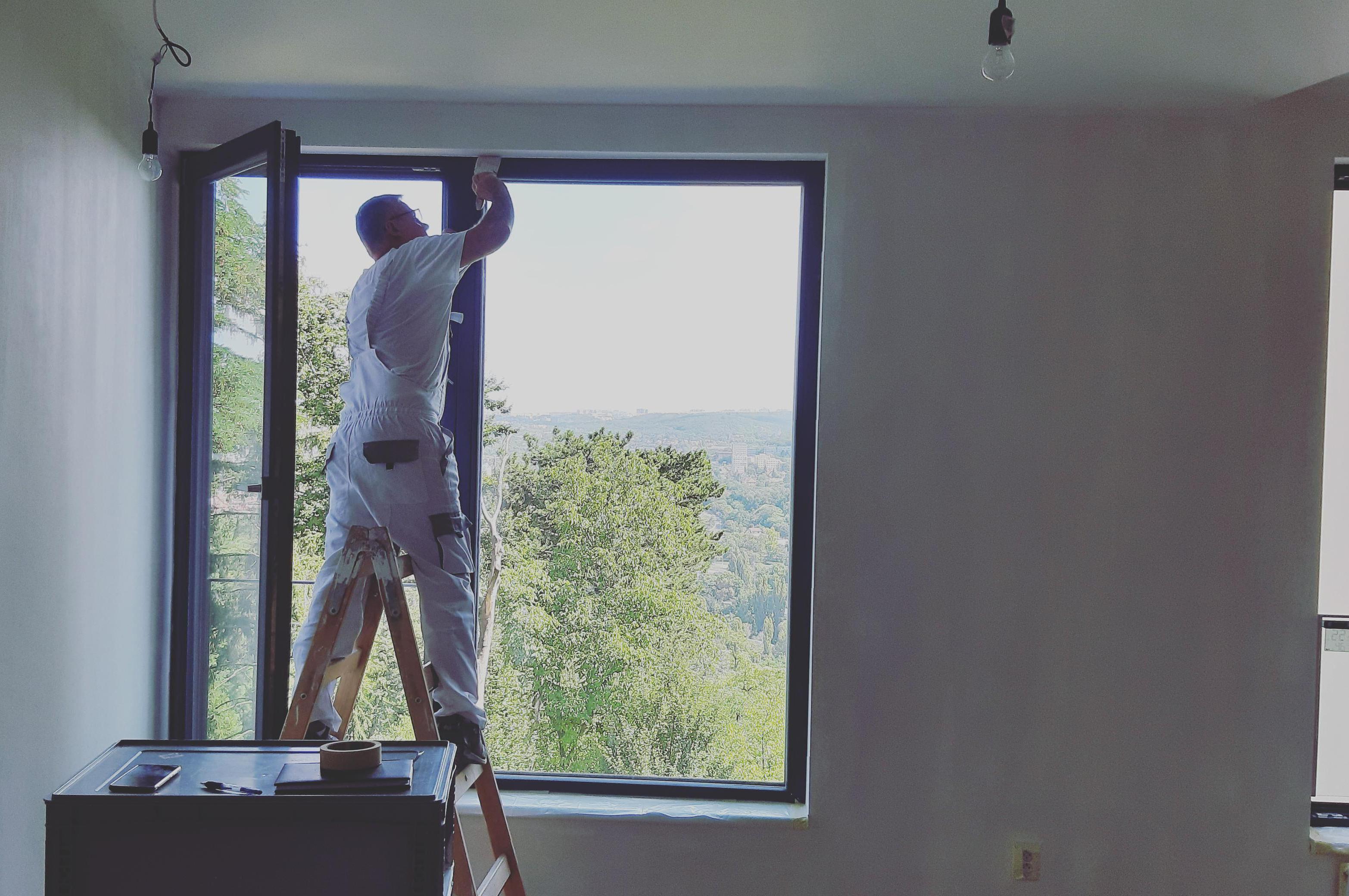 Malířské práce Tomáš Žitný