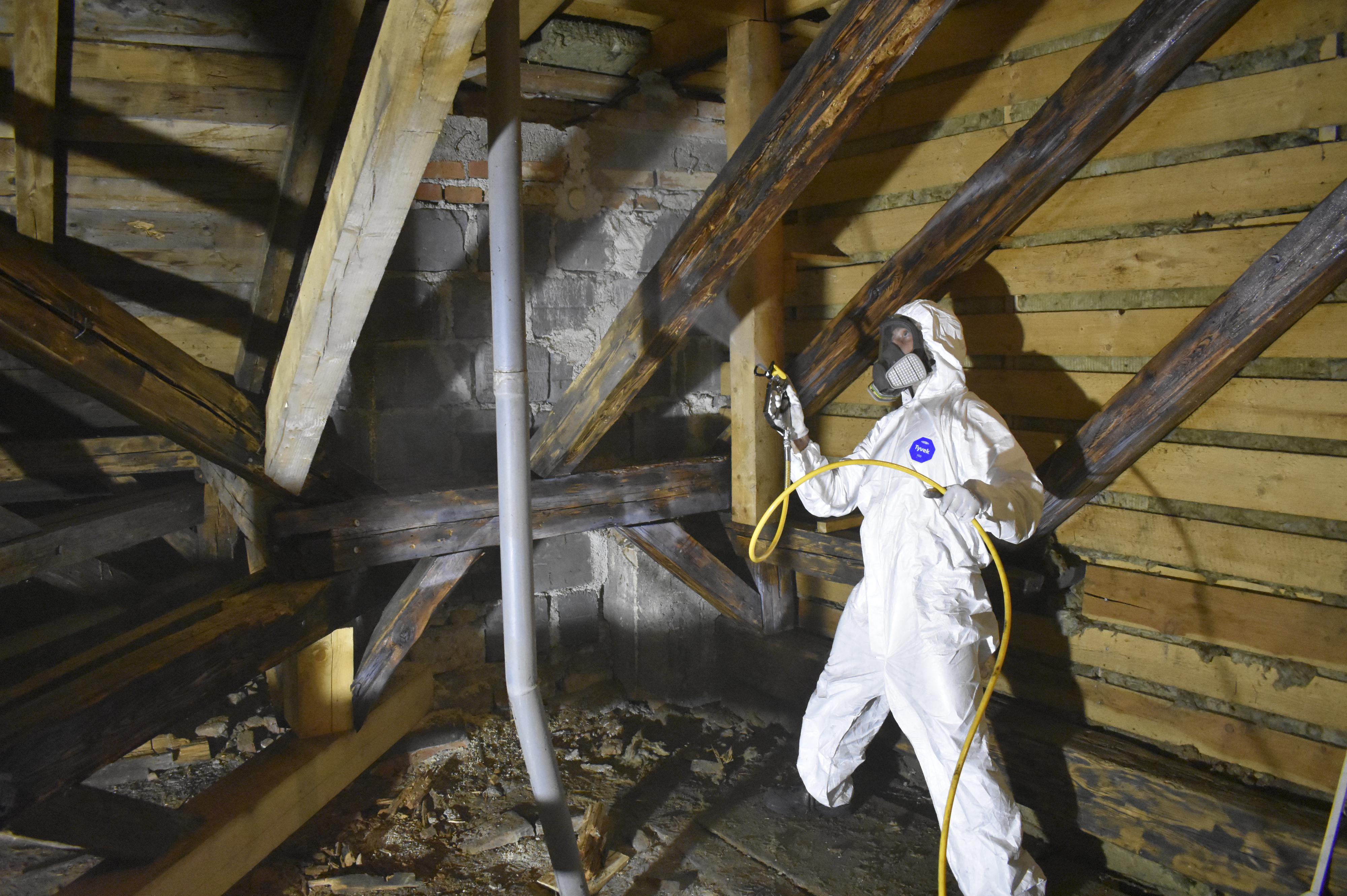 Hylák - ošetření dřeva s.r.o.