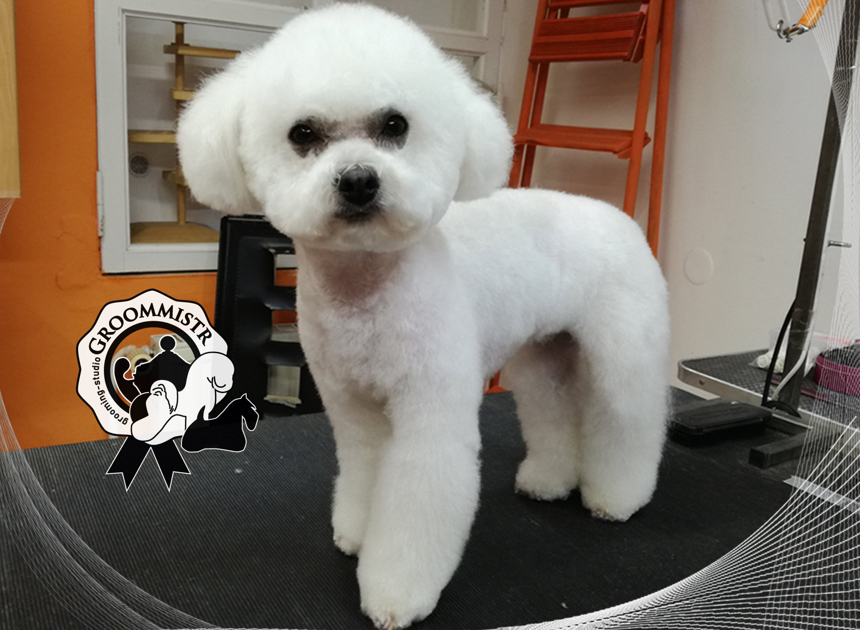 GROOMMISTR grooming-studio foto 4