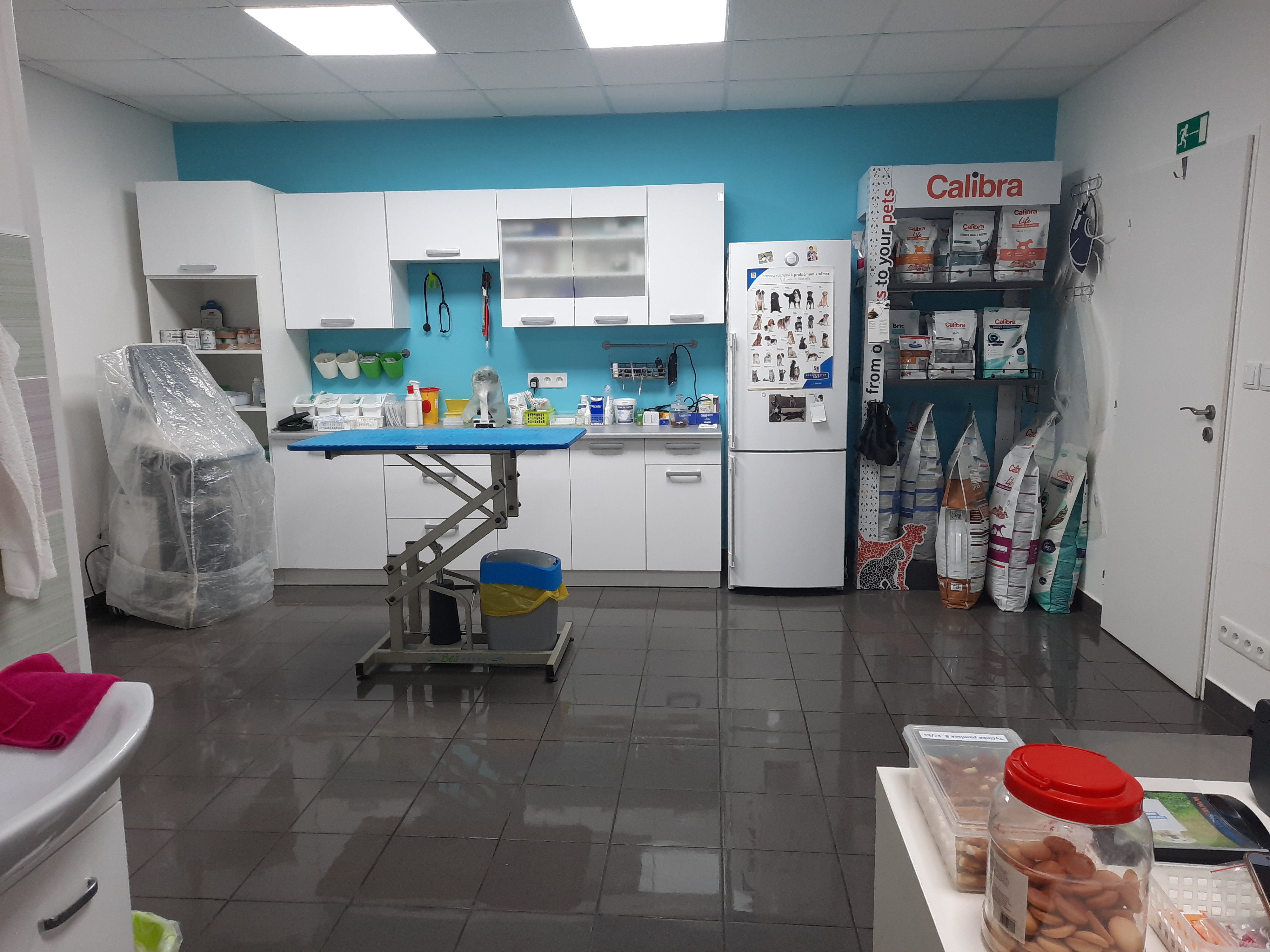 Veterinární ordinace u Mikeše, MVDr. Krahulová foto 2