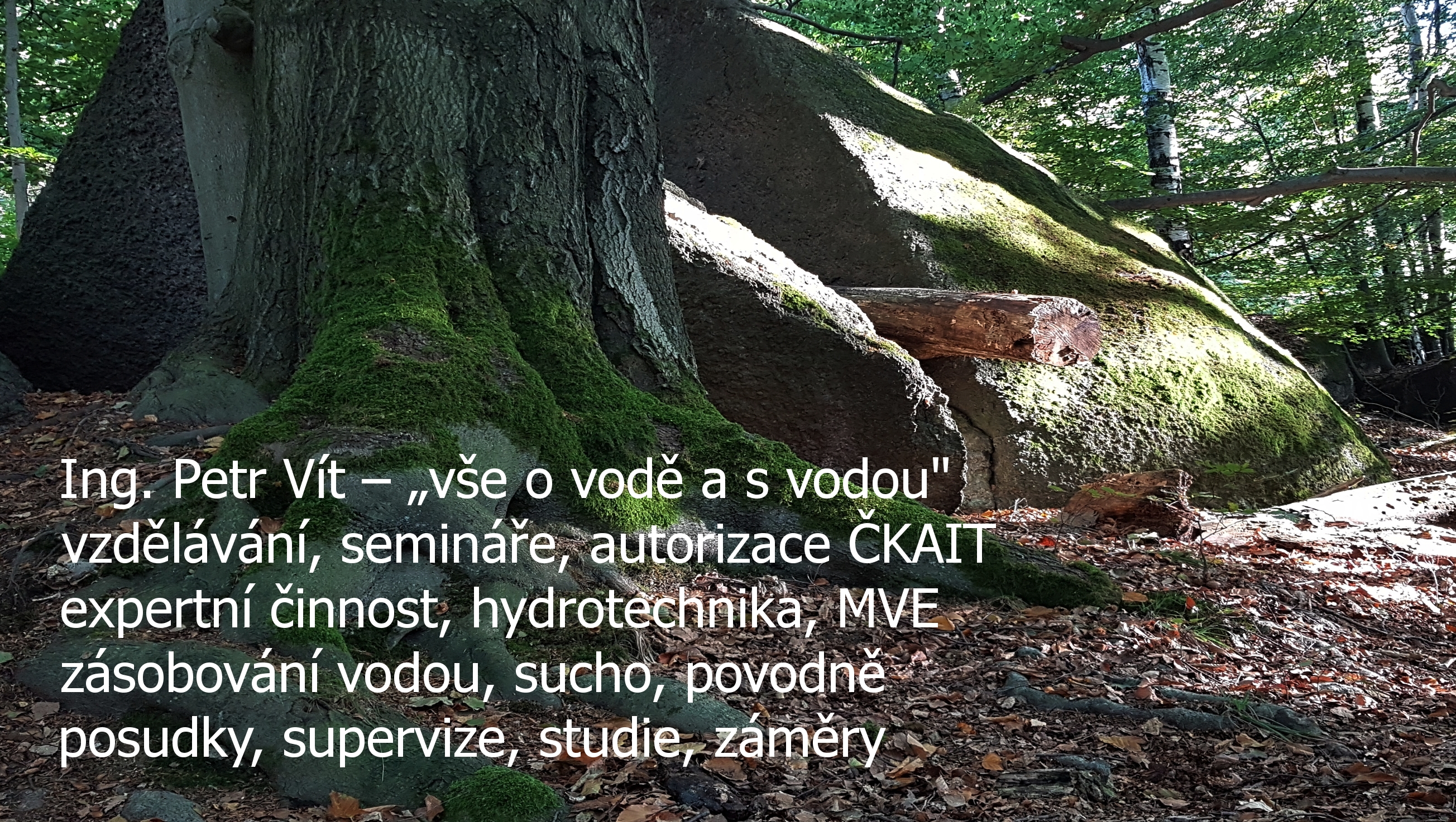 Ing. Petr Vít foto 6
