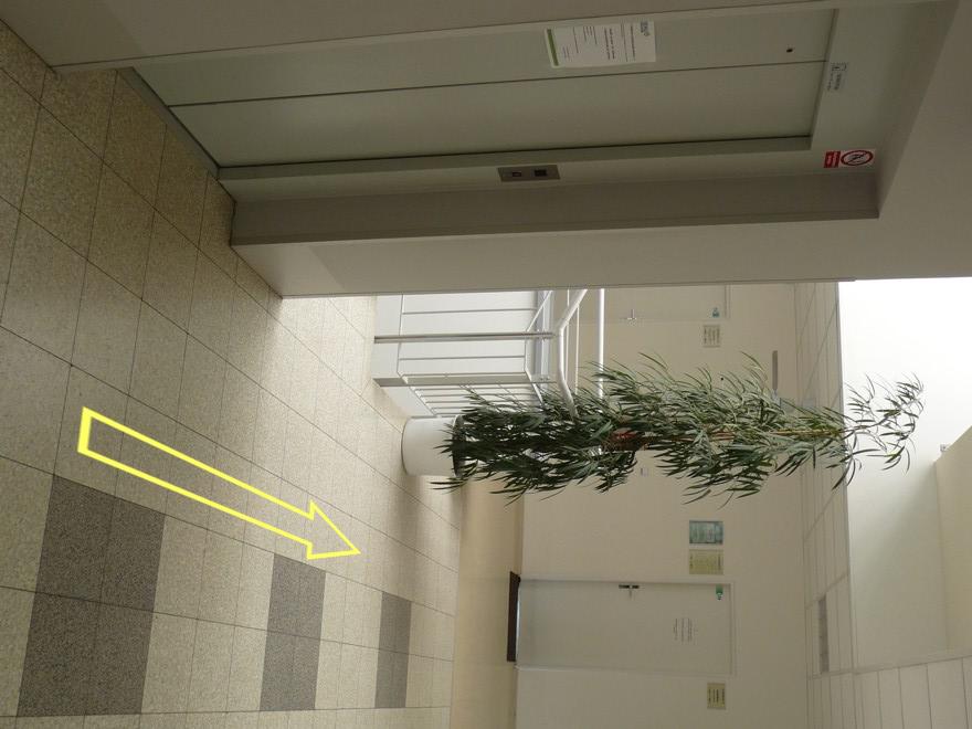 Dětská ambulance - MUDr. Polášková, s.r.o. foto 3