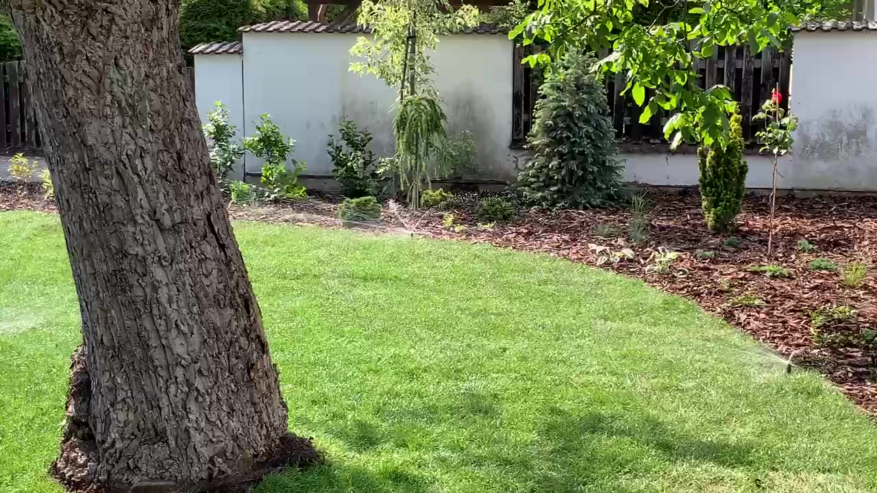 Tomáš Mach - realizace zahrad foto 2 (náhled videa)