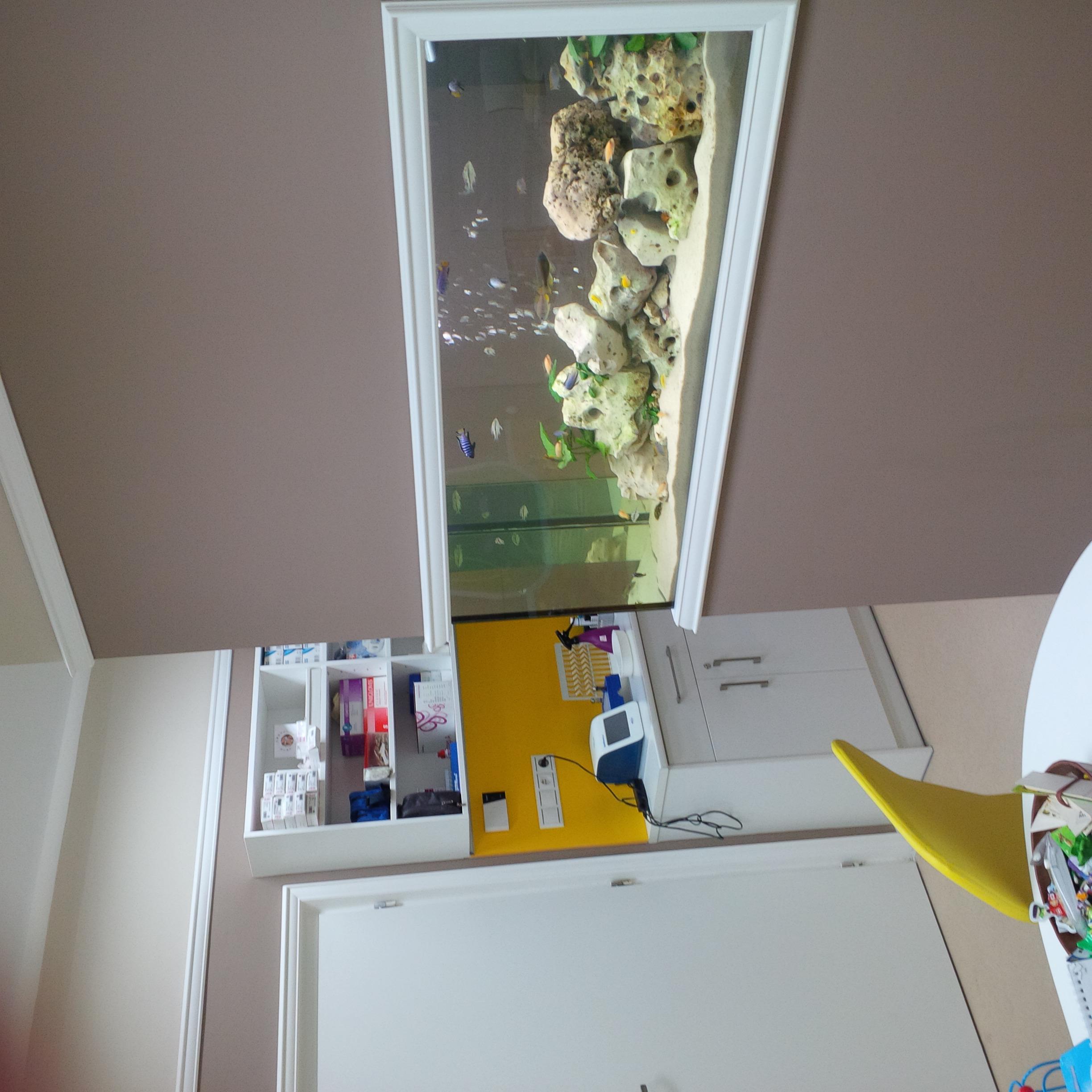 Konrad Karim Siala, MUDr. Ing. Ph.D., MSc. foto 2