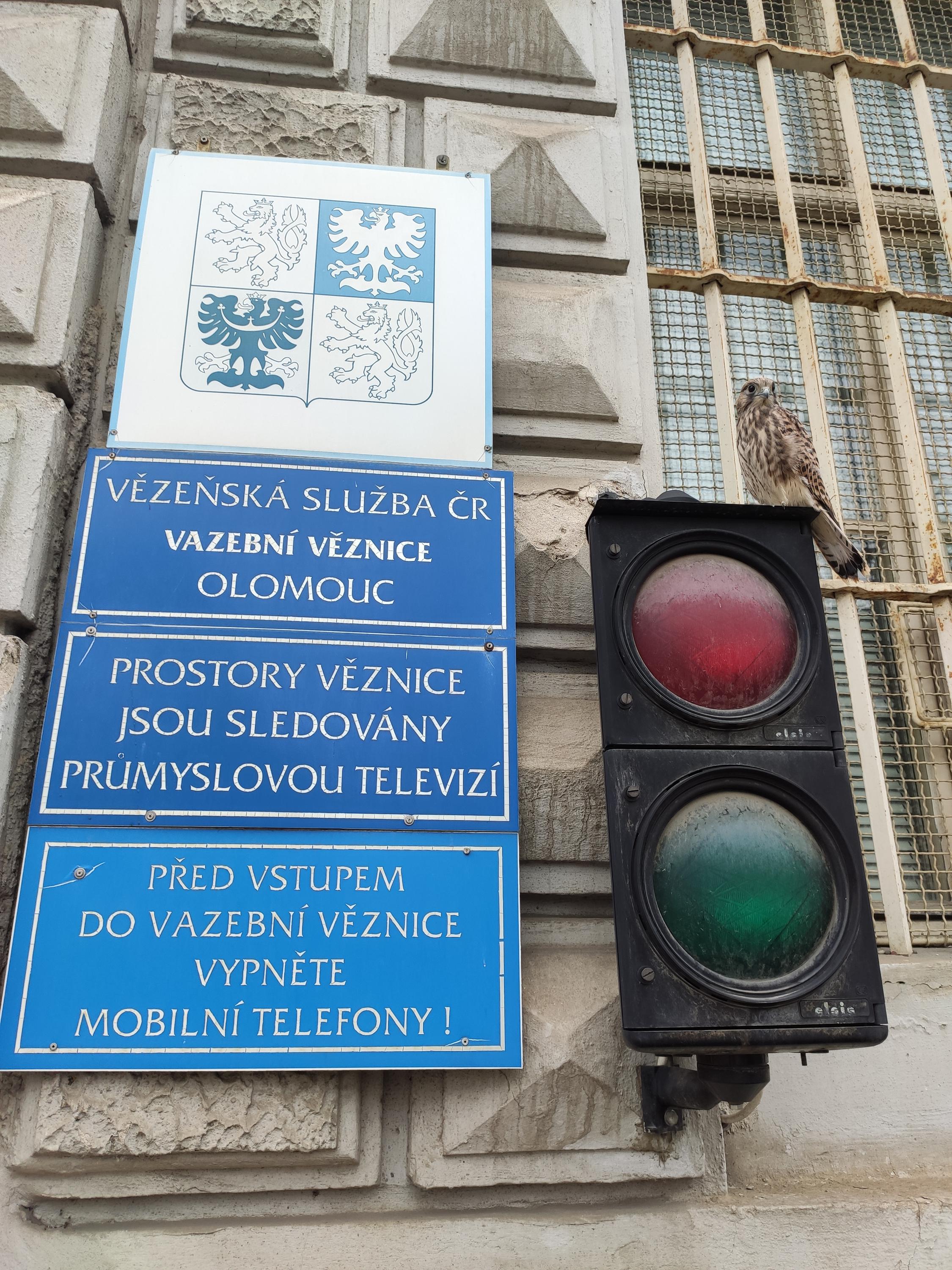Okresní soud v Olomouci foto 4