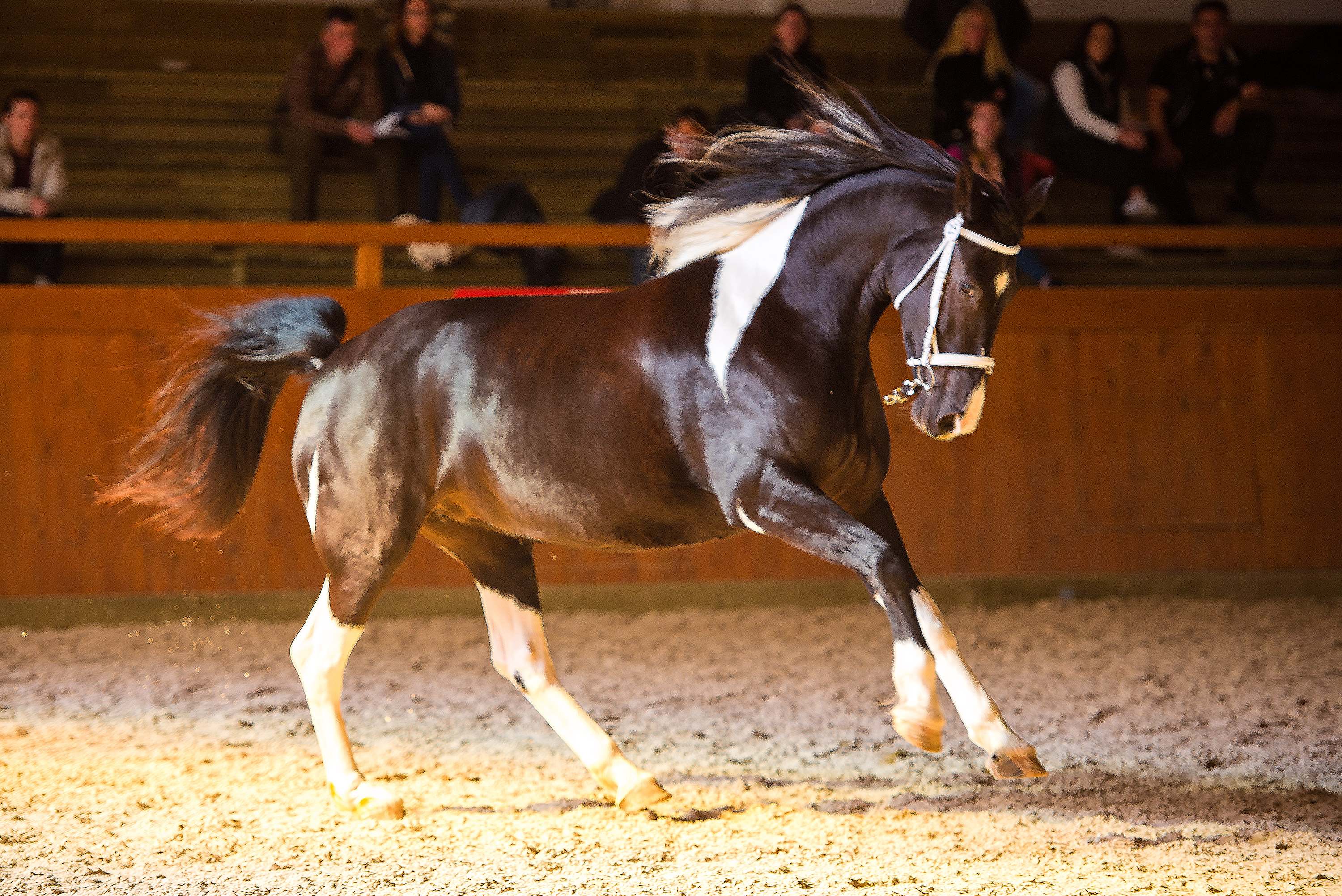 Petra Holubová - mentální trénink foto 2
