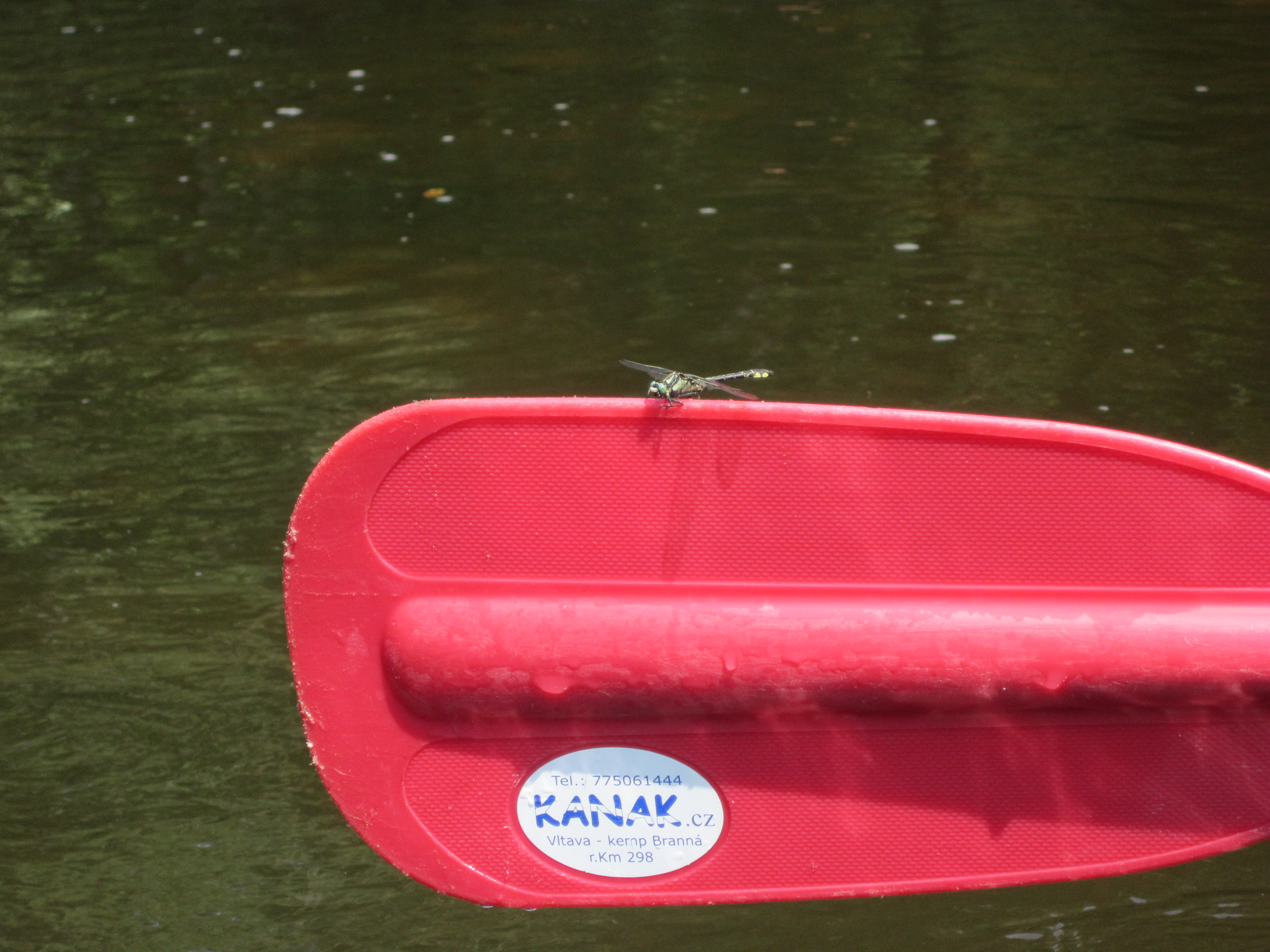 Kanak – půjčovna lodí foto 4