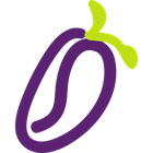 BIO Spirulina - bio prášek - 100 g v obchodě Osiva-semena.cz