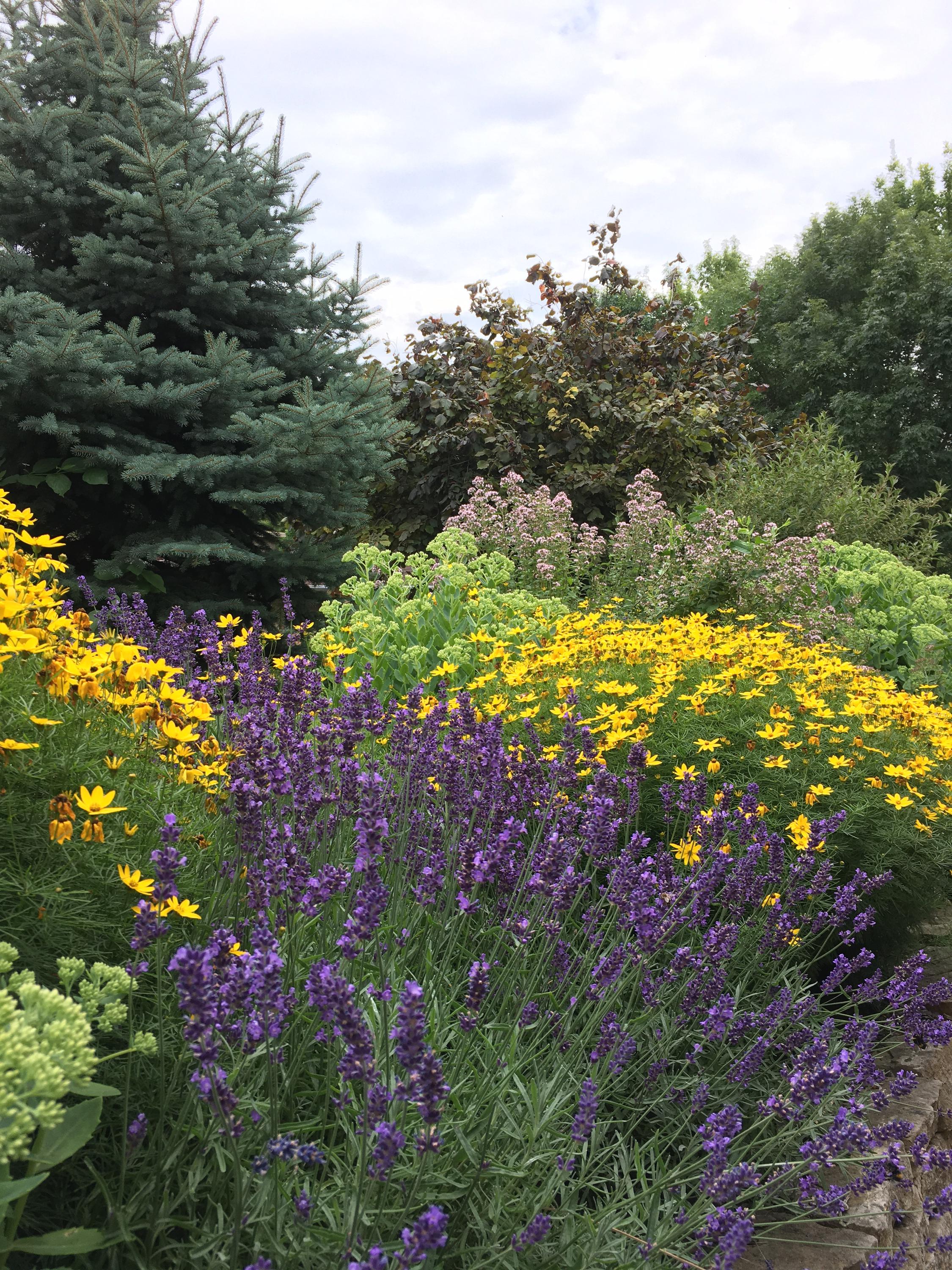 Zahrada profesionálně foto 3