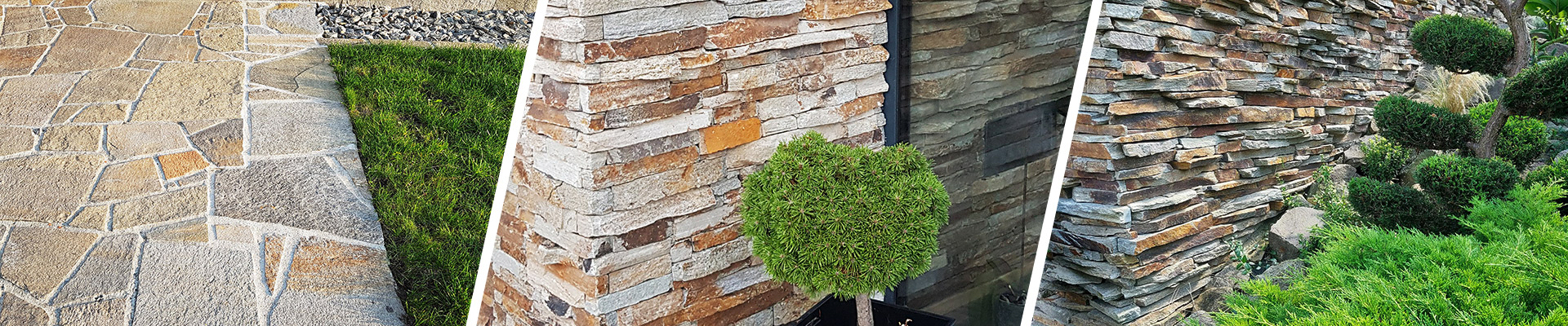 Úvodní obrázek ANZUVA - Rybnikář Michal