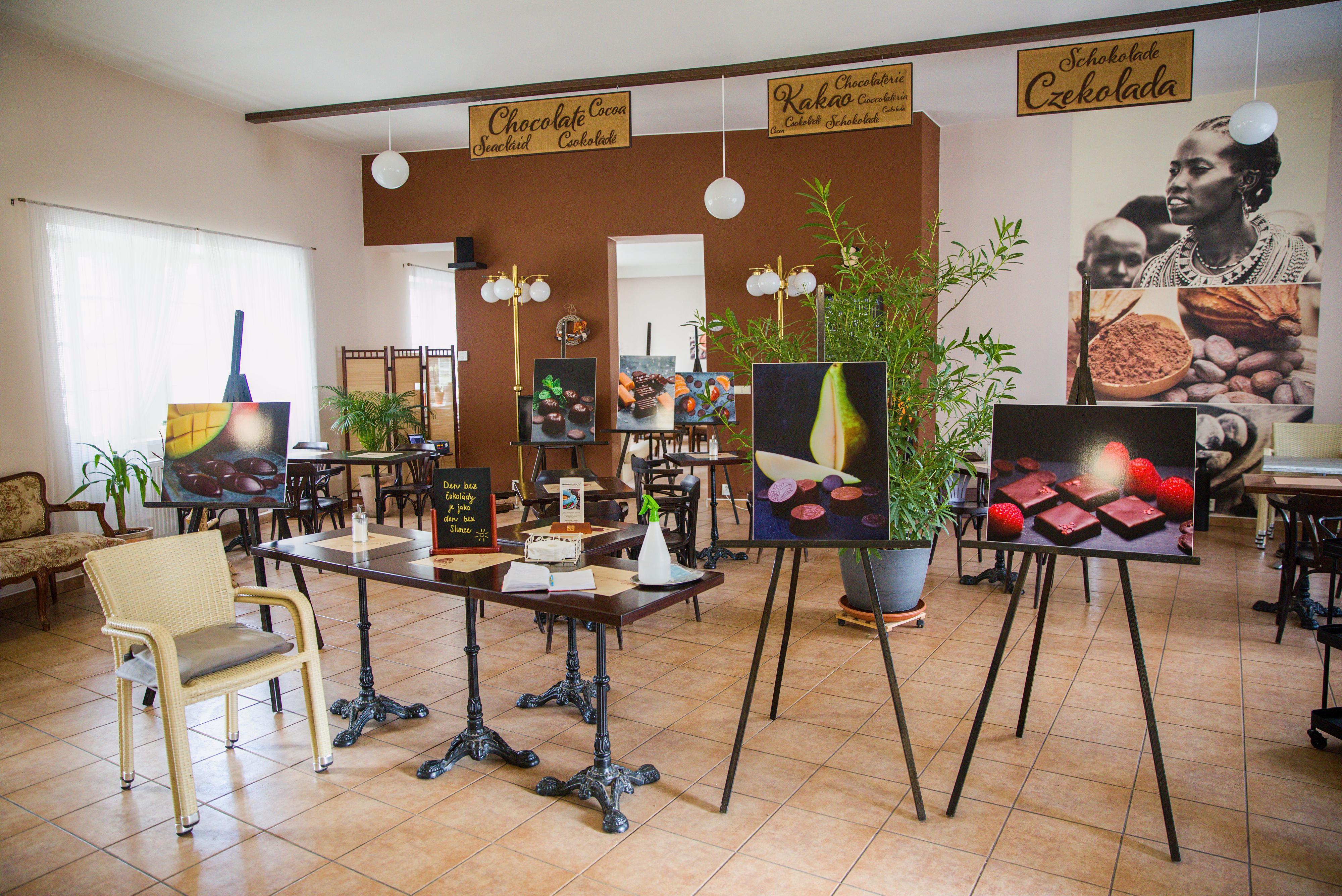 Čokoládové království