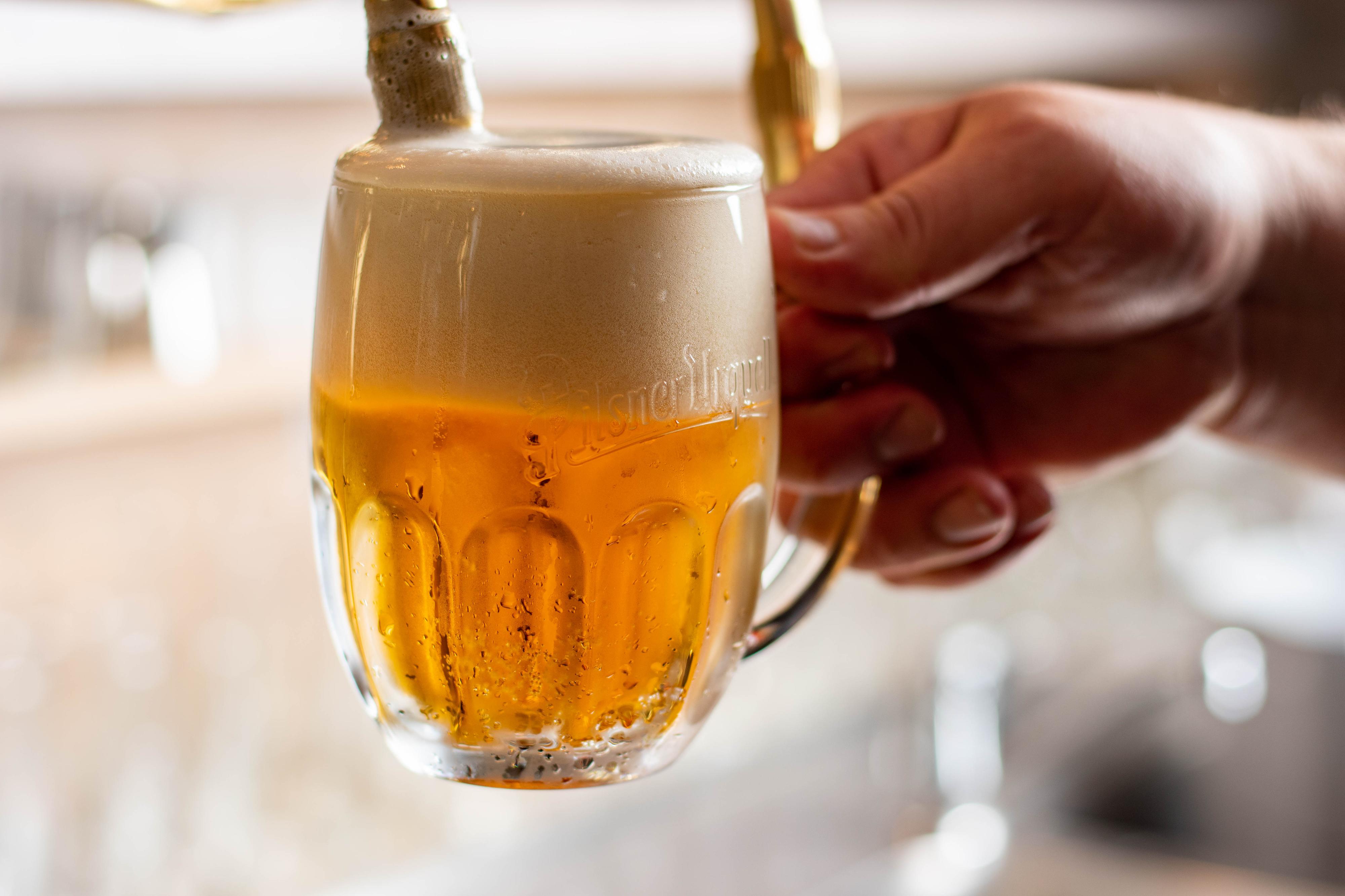 Restaurace Mamut foto 4