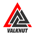 Digitální váha 500g/0,1 g v obchodě Valknut.cz