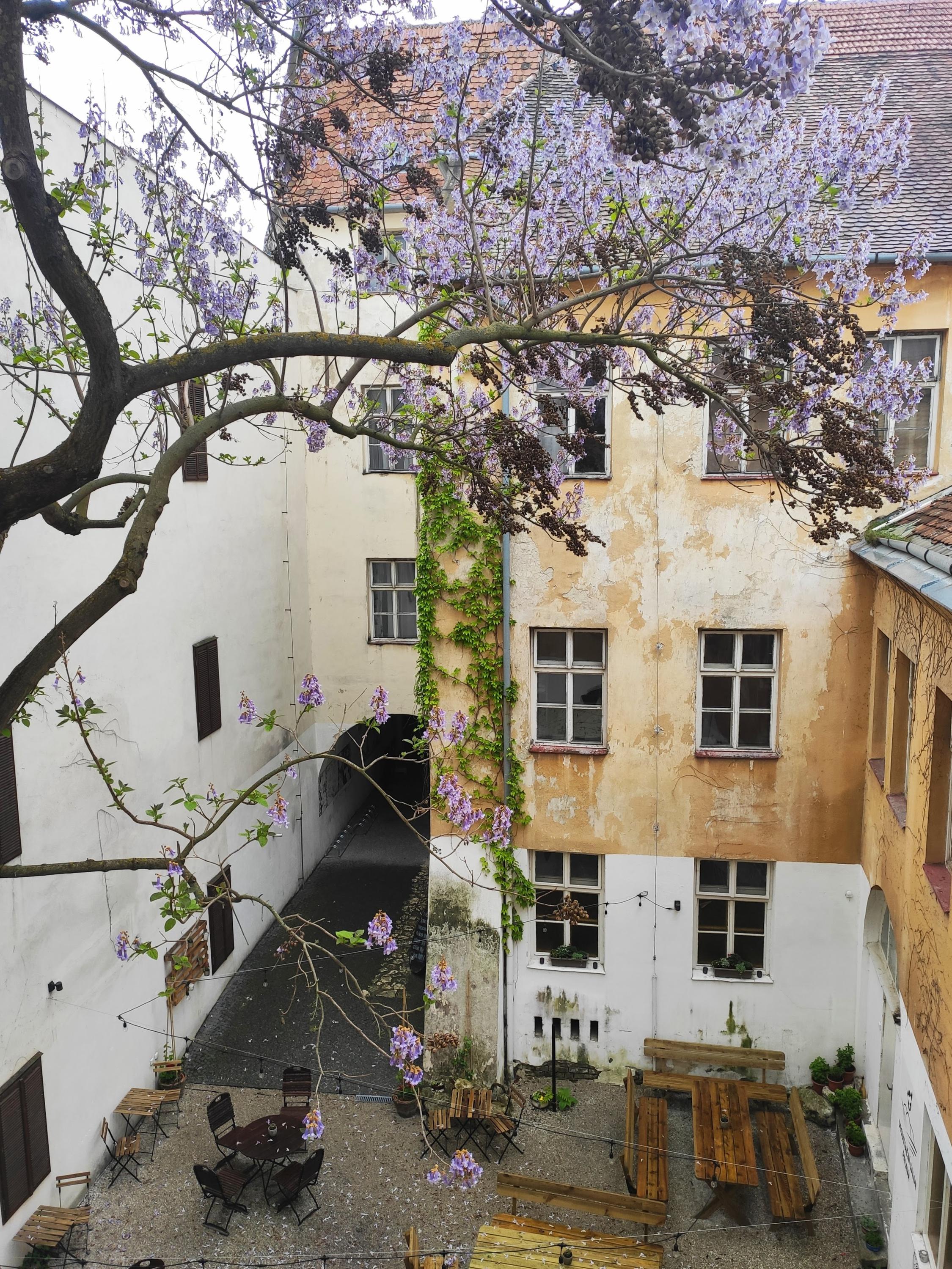 Zahrádka U Zajíce foto 4