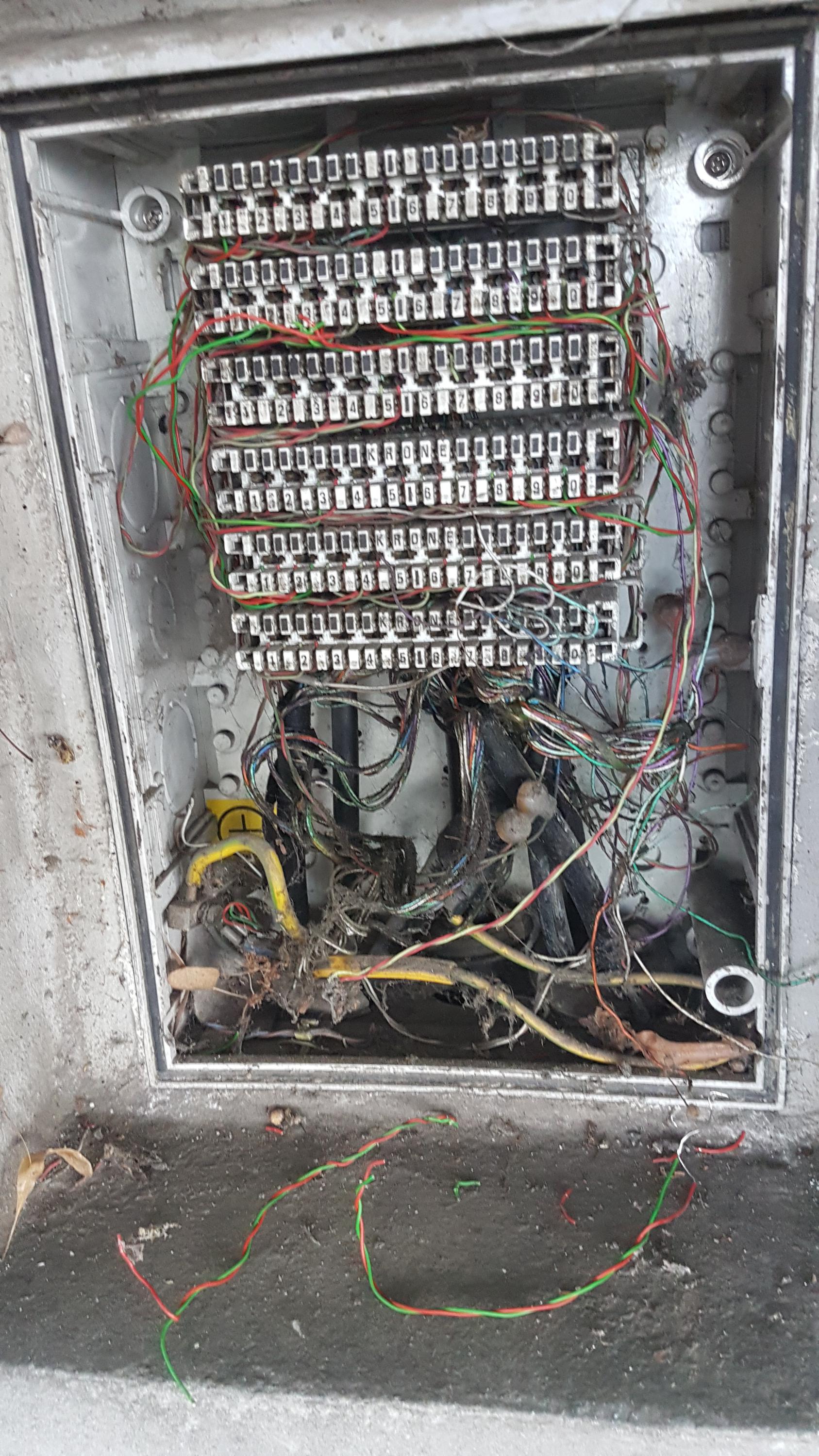 Café Záhorský foto 5