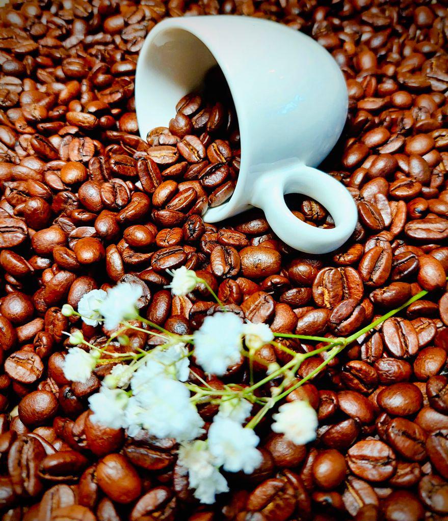 FIVE-CAFFE Čerstvě pražená zrnková Arabica foto 5