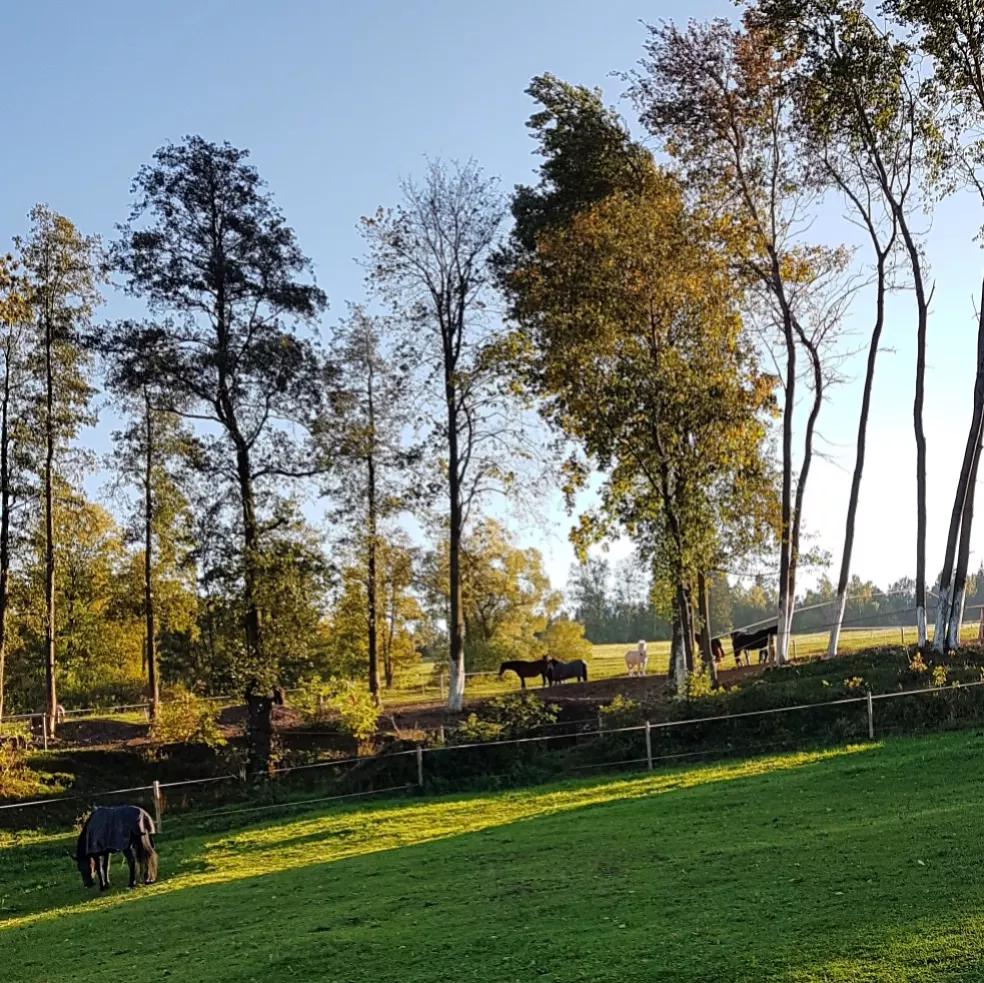 Vraní vrch - paddock paradise foto 3