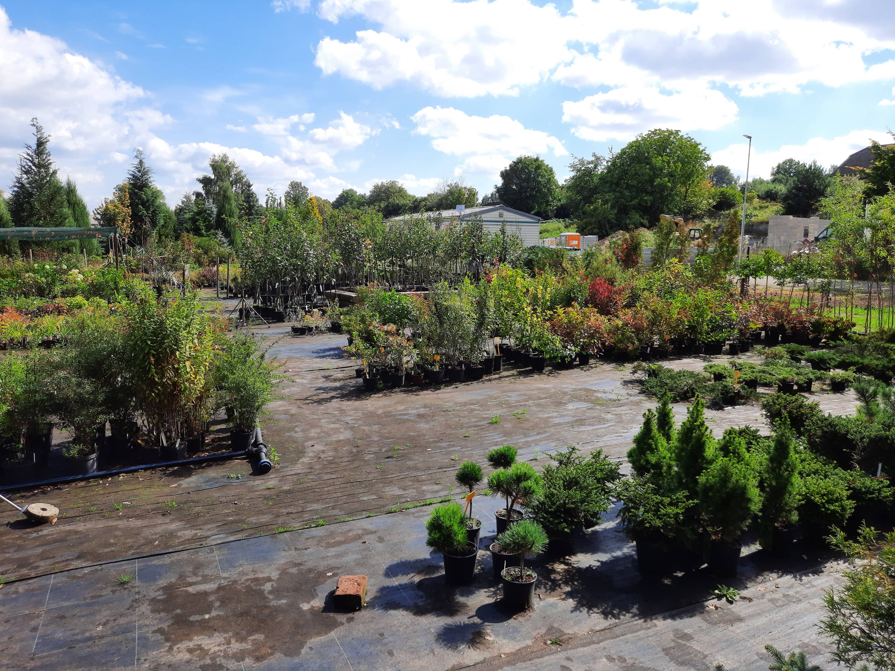 ARBO - zahradnictví, s.r.o. foto 6