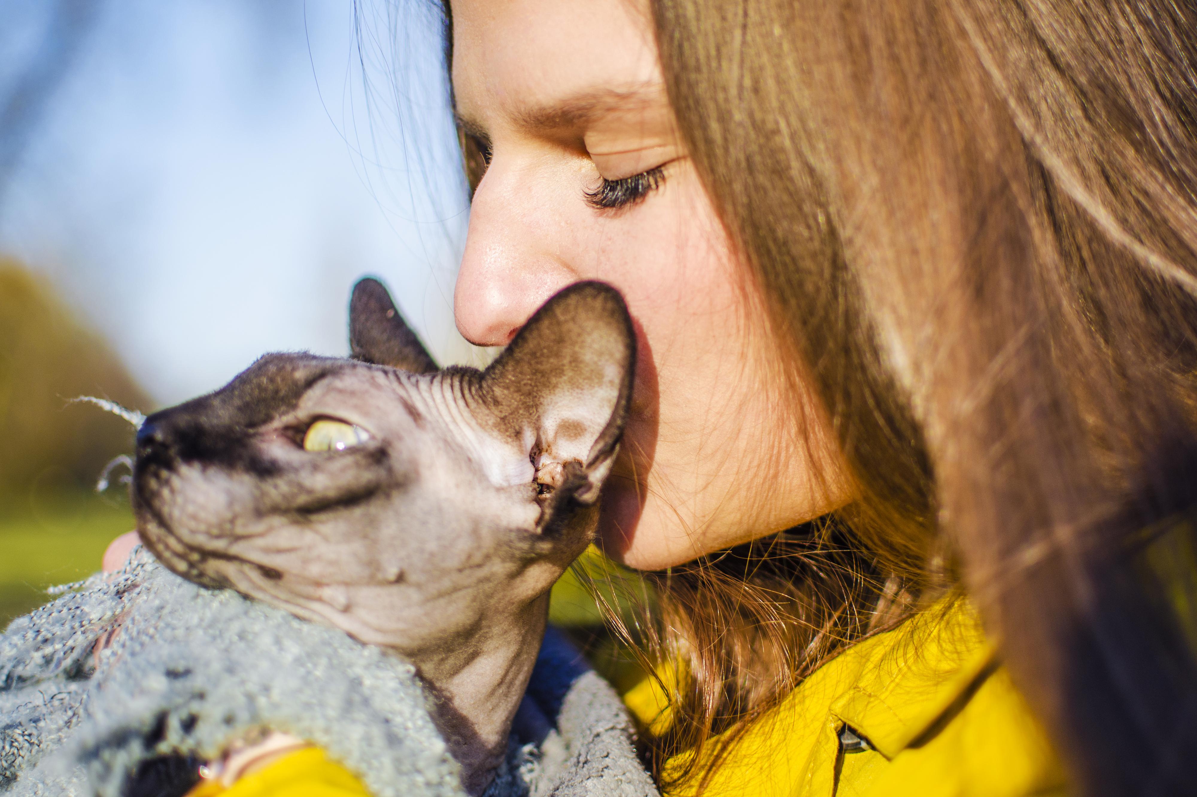Cat mom foto 3