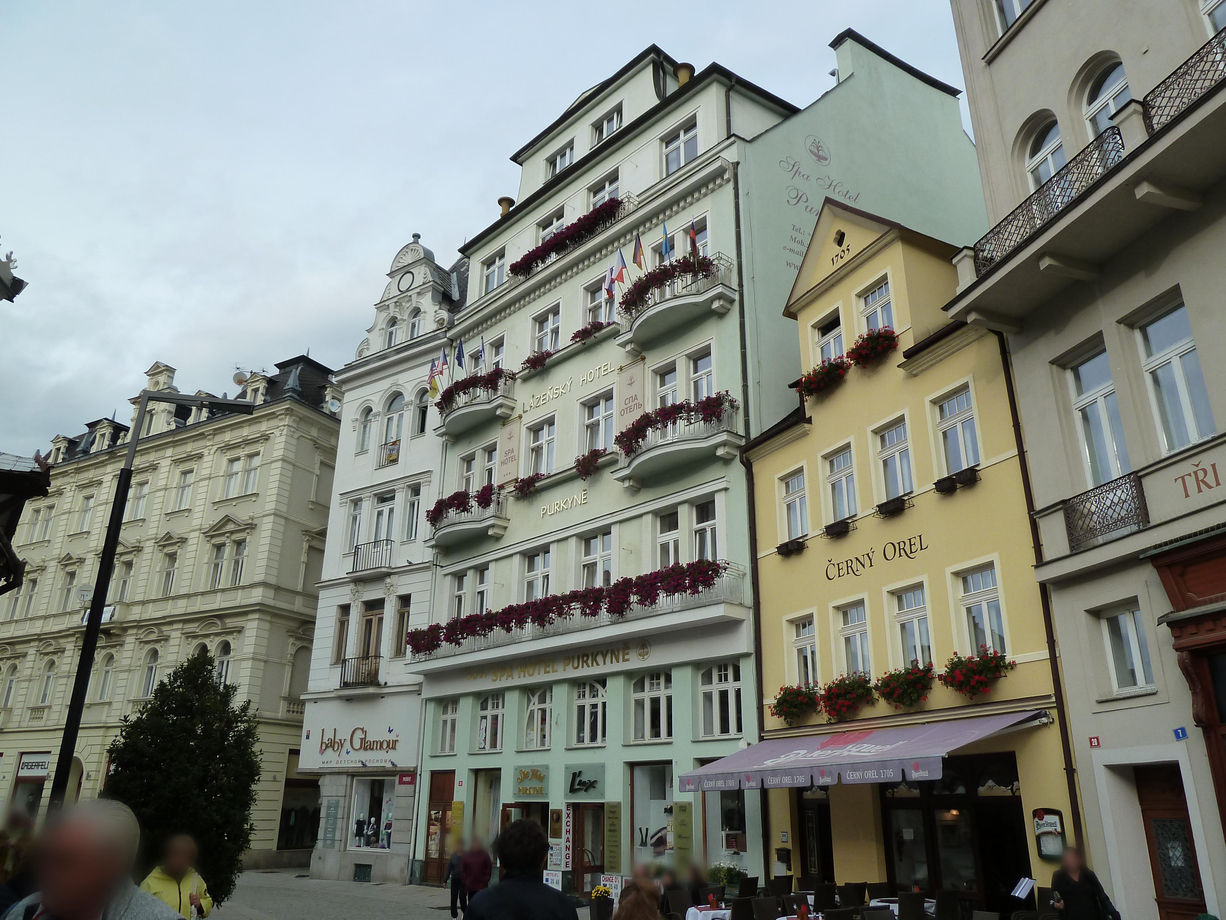 Spa hotel Purkyně foto 3