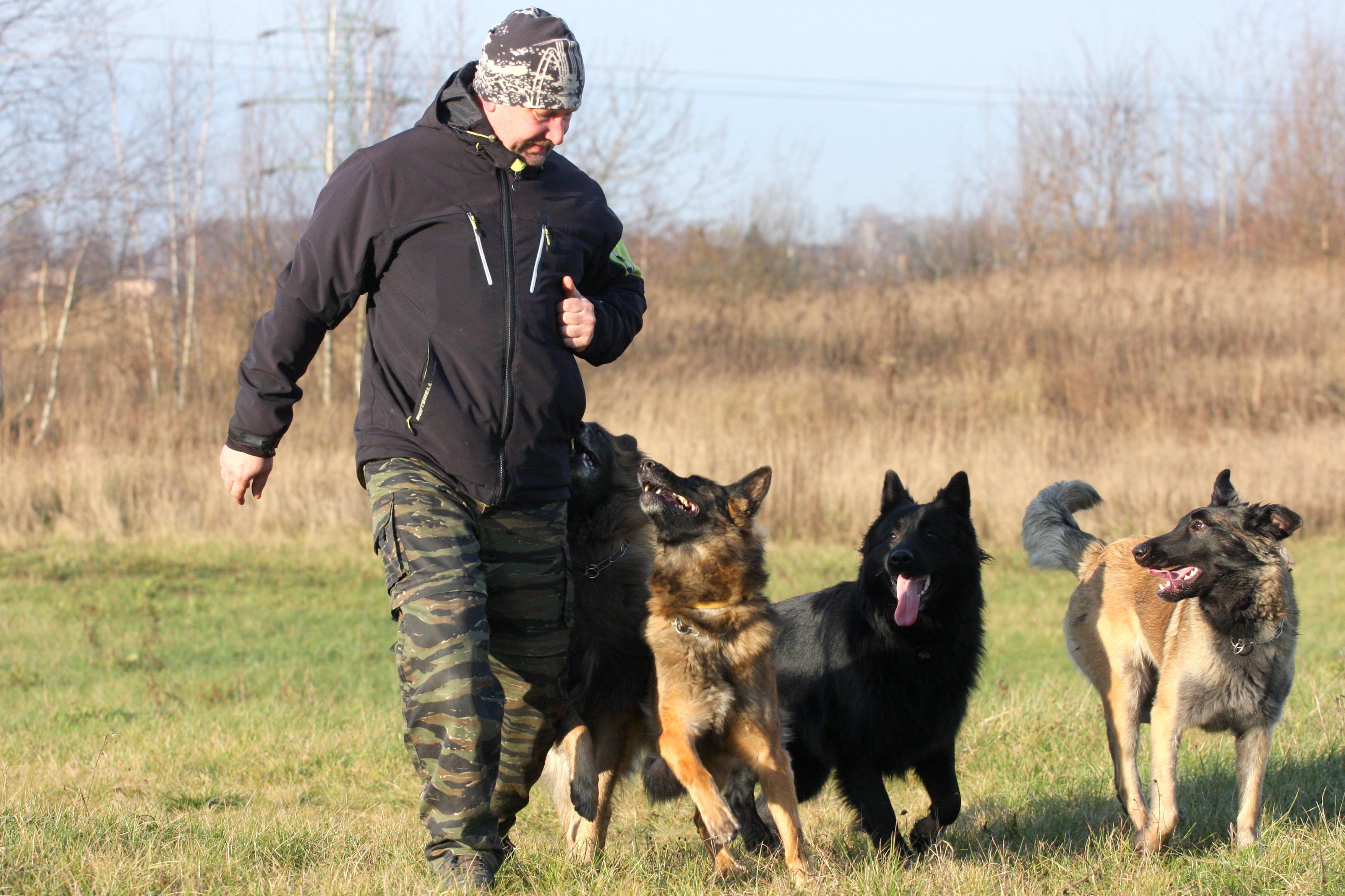 Granule-Petřvald + Výcvik psů