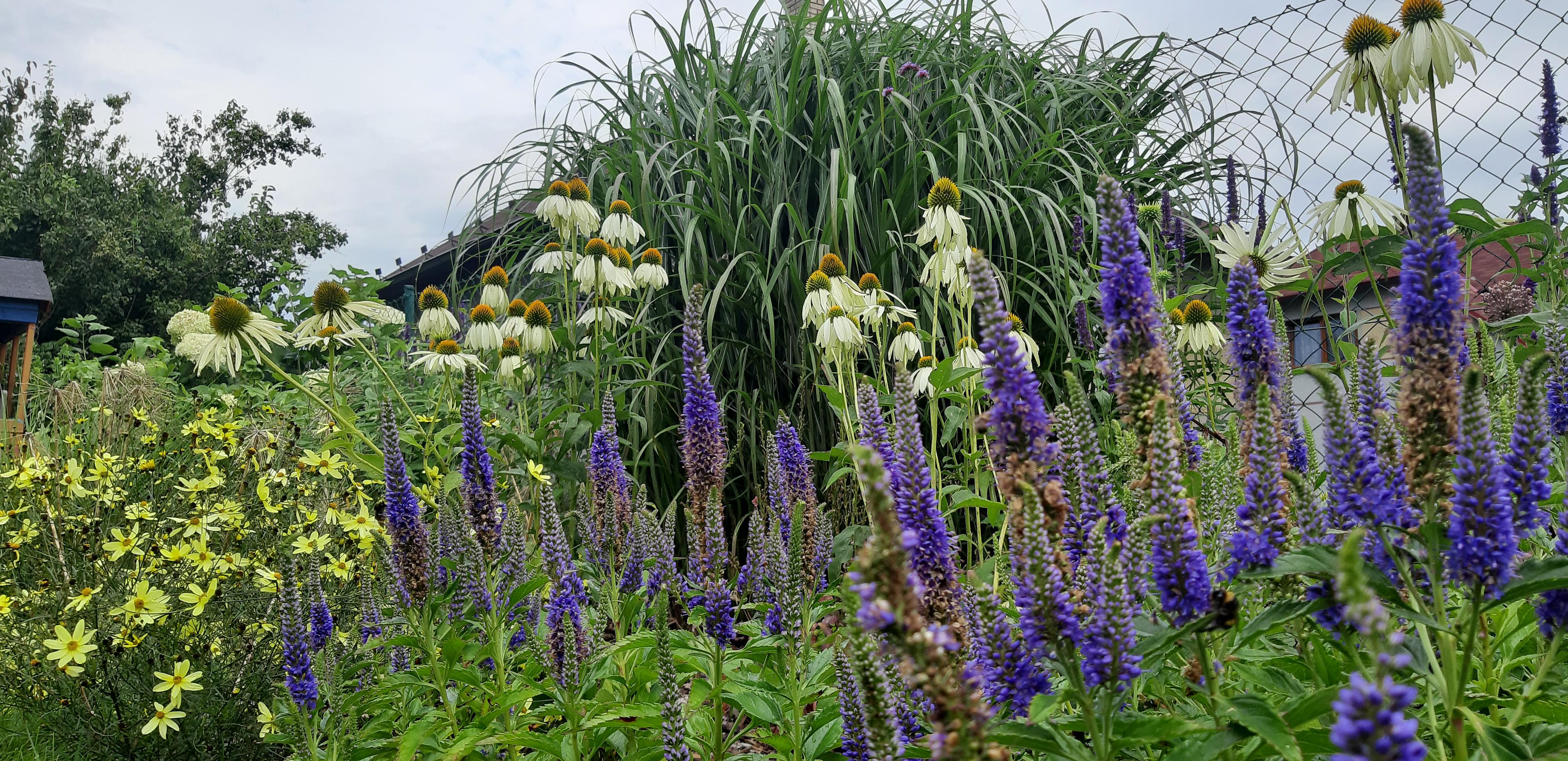 Zahradní tvorba Davidová foto 4