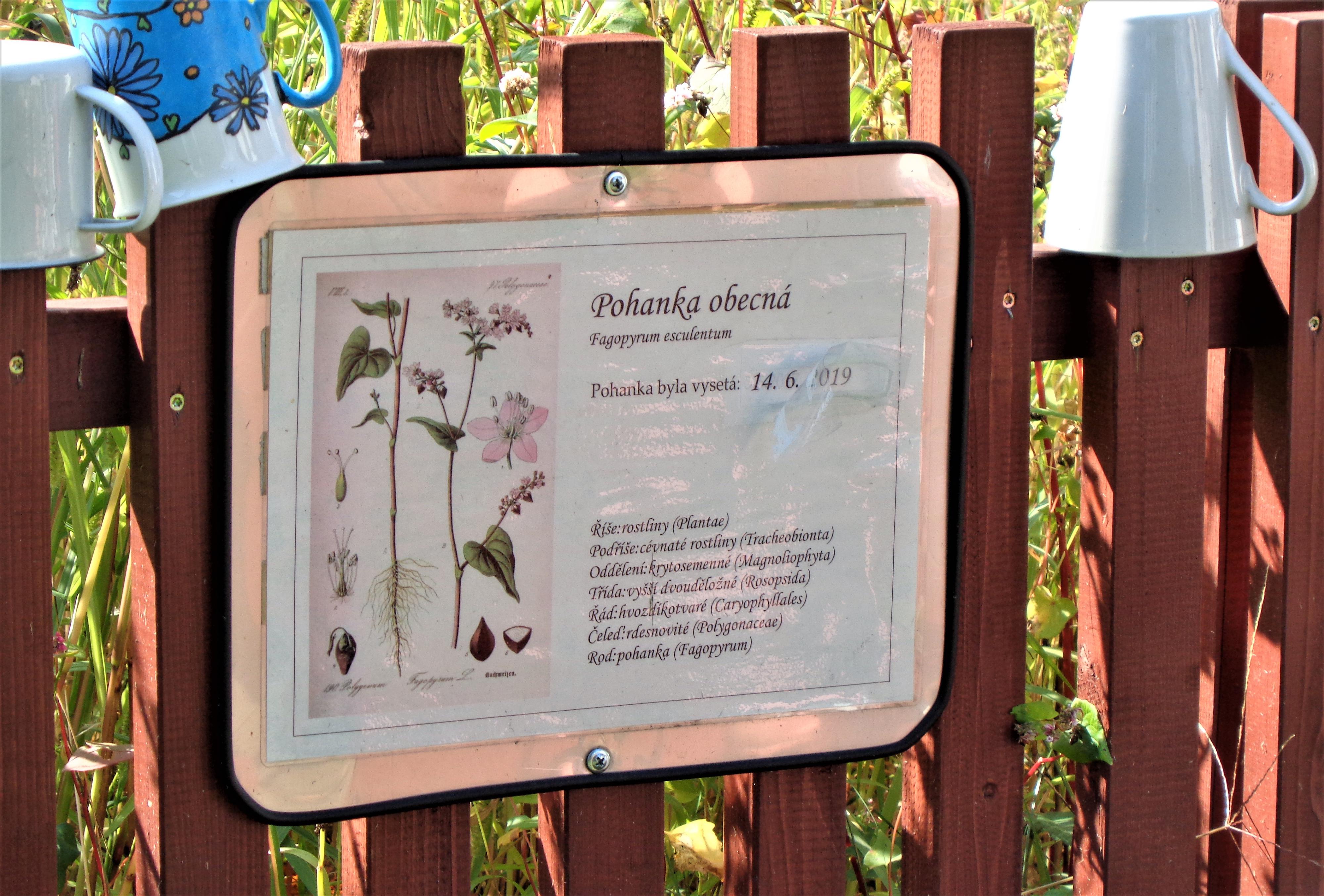 Pohankový mlýn ŠMAJSTRLA s.r.o. foto 5