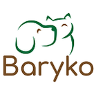 Baryko