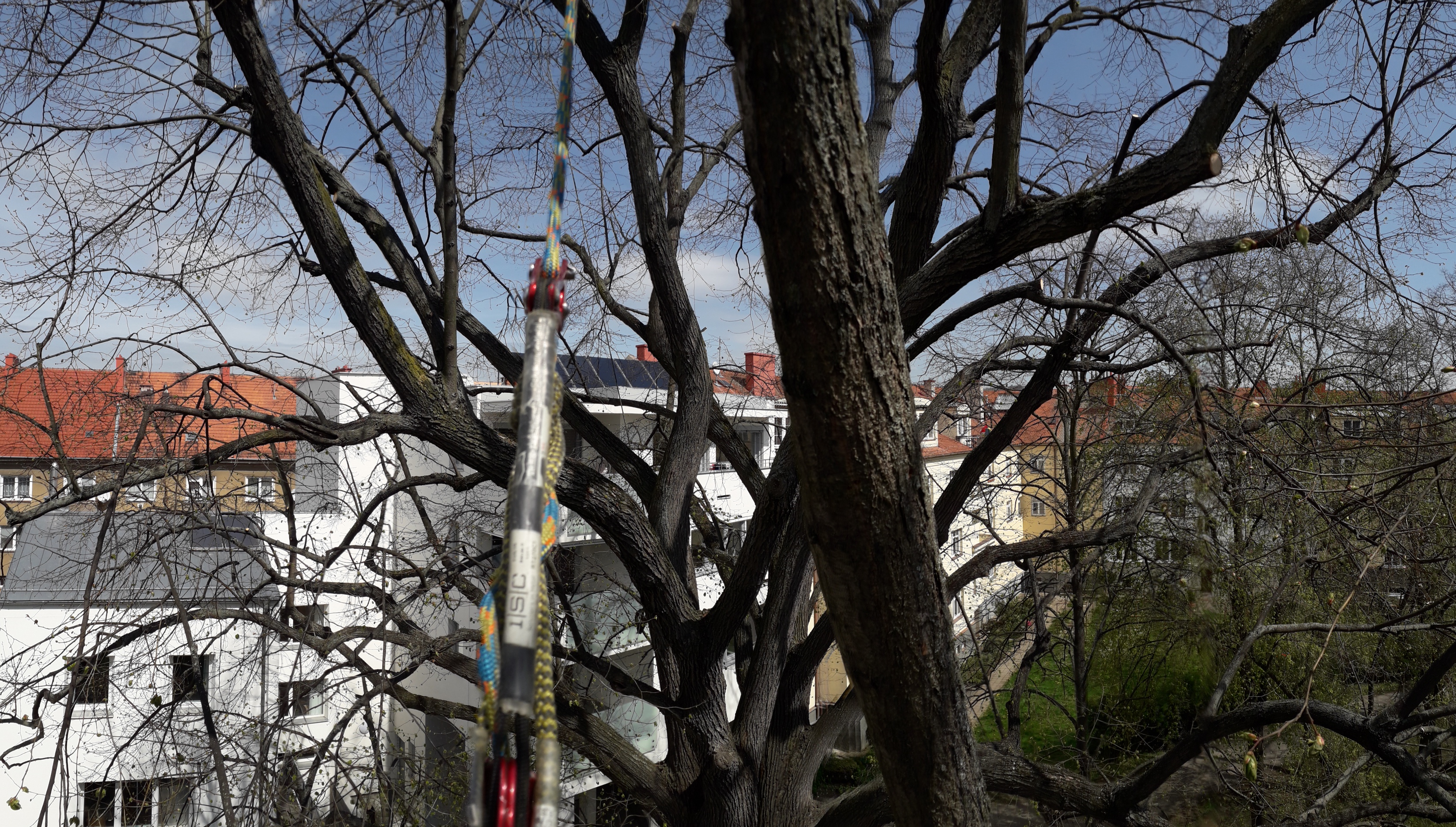 Stromolezec-zlin.cz foto 6