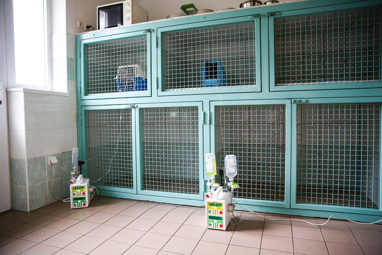 Veterinární klinika - MVDr. Josef Pospíšilík foto 4