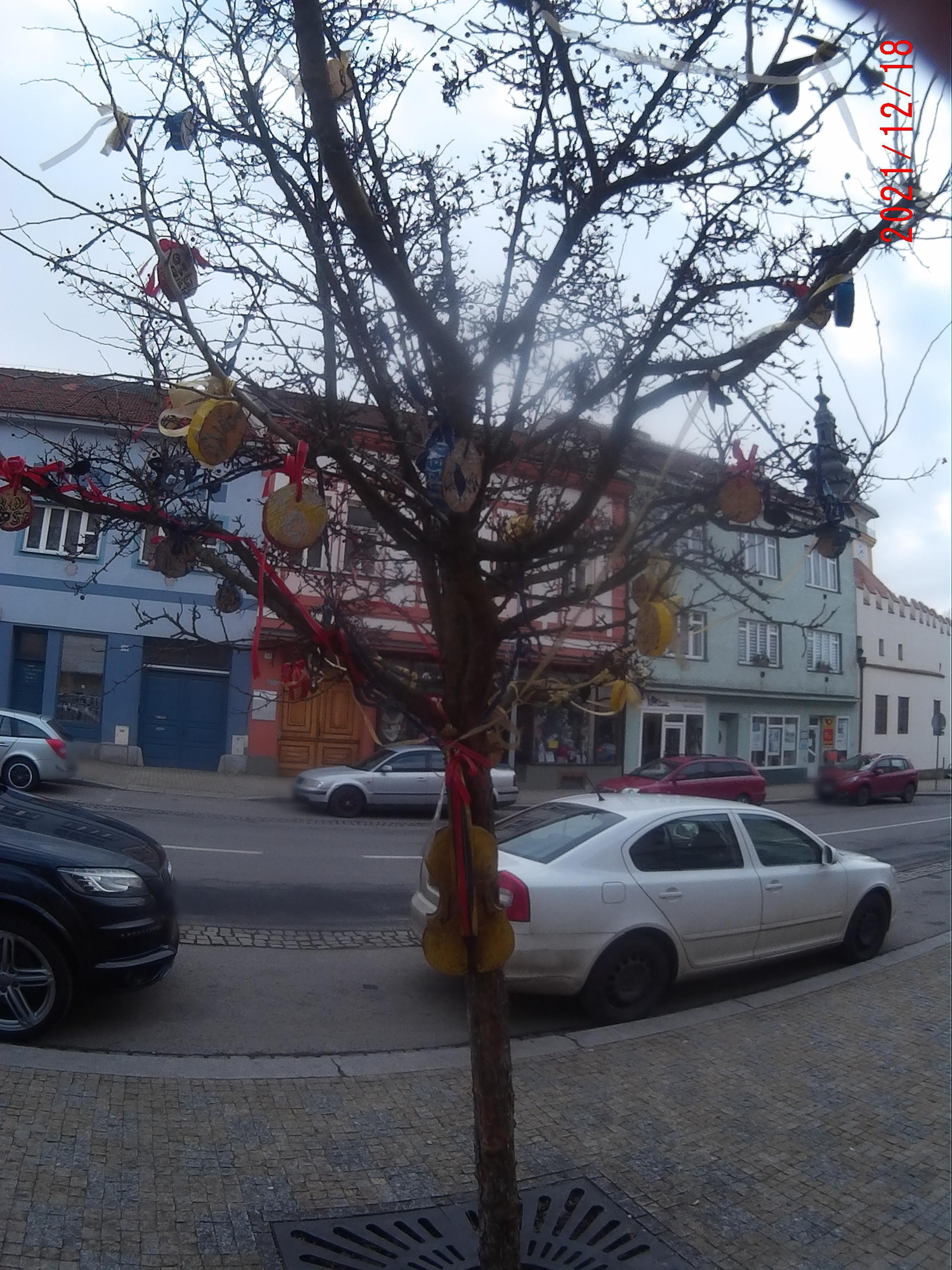 Město Moravské Budějovice foto 6