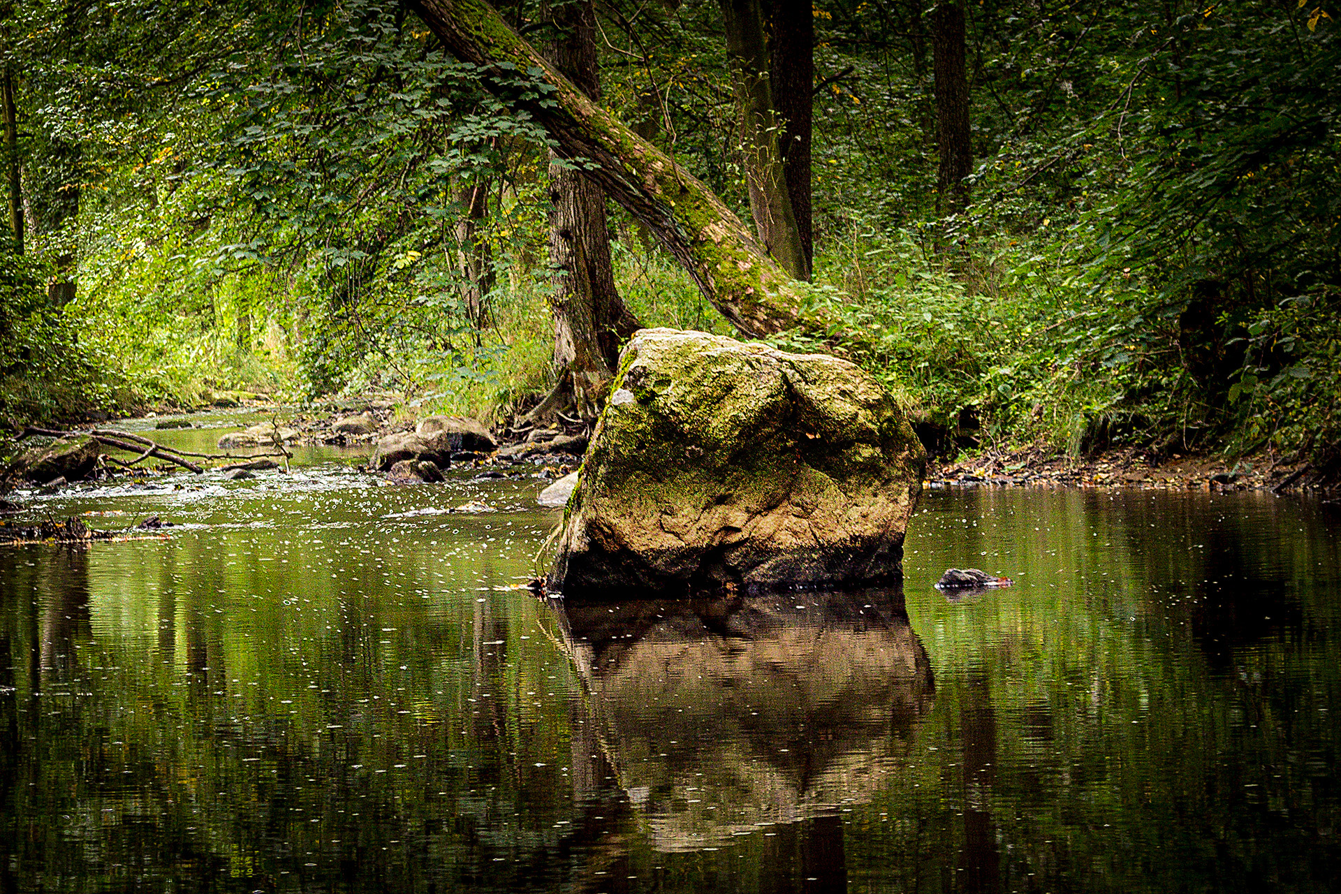 Český rybářský svaz, místní organizace Golčův Jeníkov