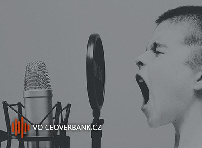 VOICEOVERBANK.CZ foto 5