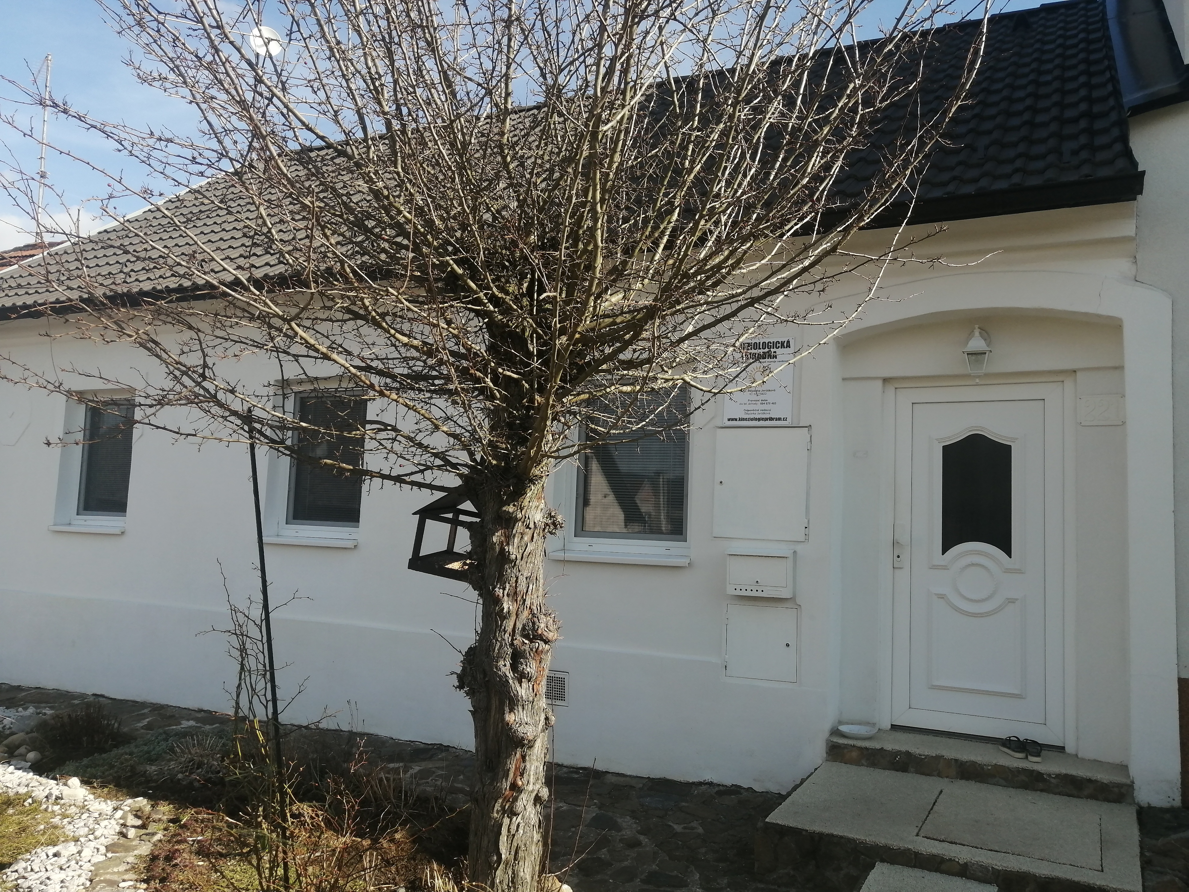 Kineziologická poradna Mgr. Štěpánka Jarůšková