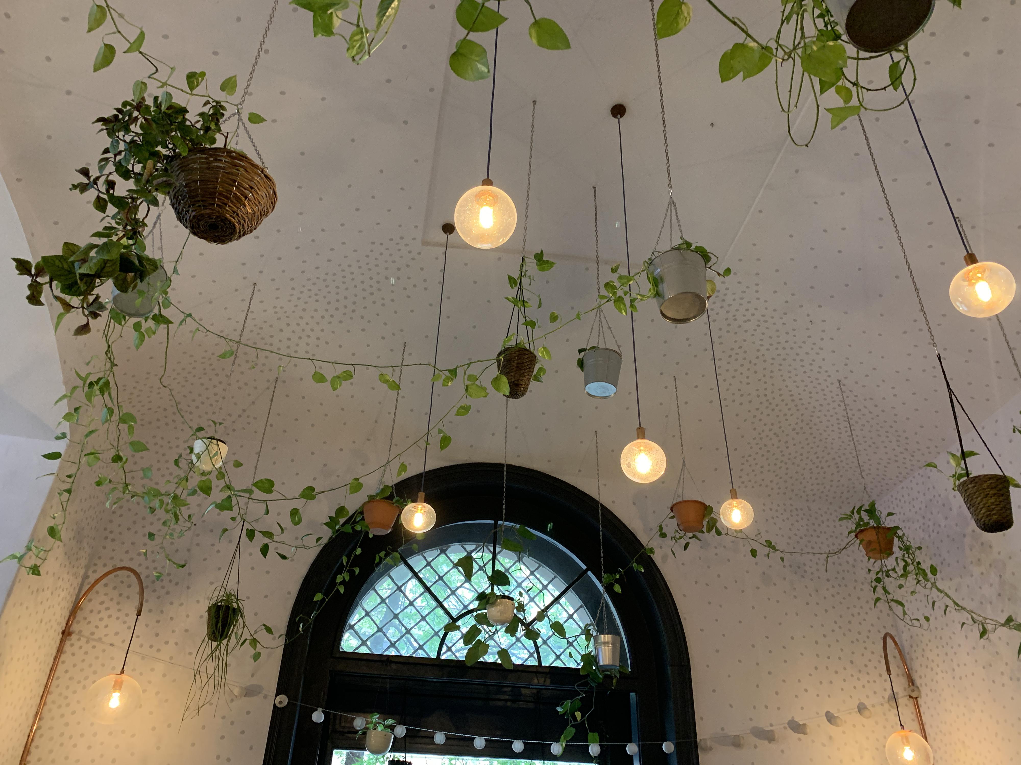 Parlor Café foto 5