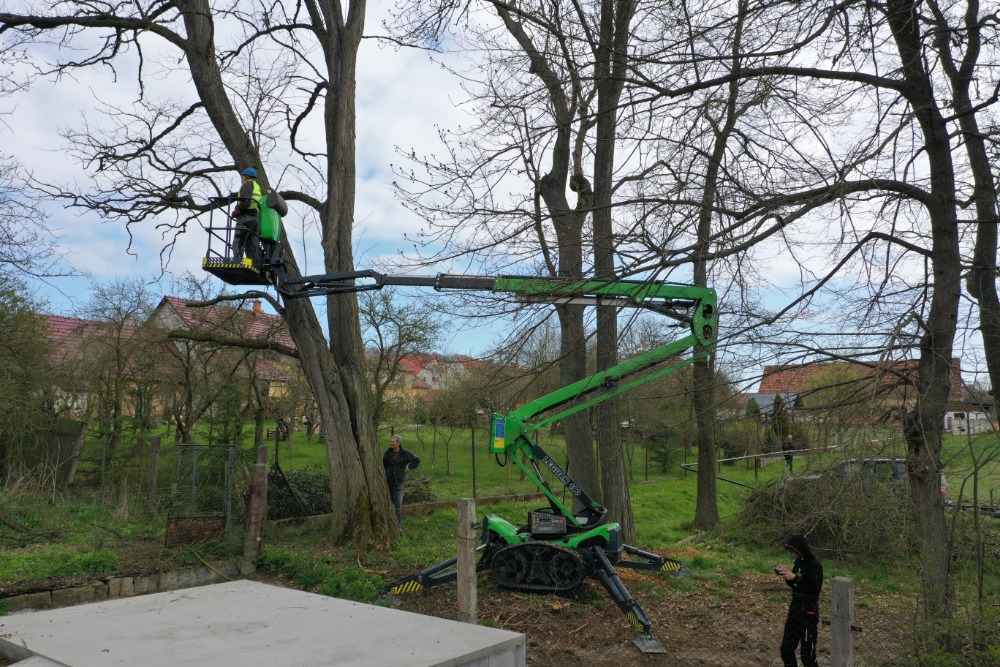 Údržba zeleně Antonín Kirpal foto 6