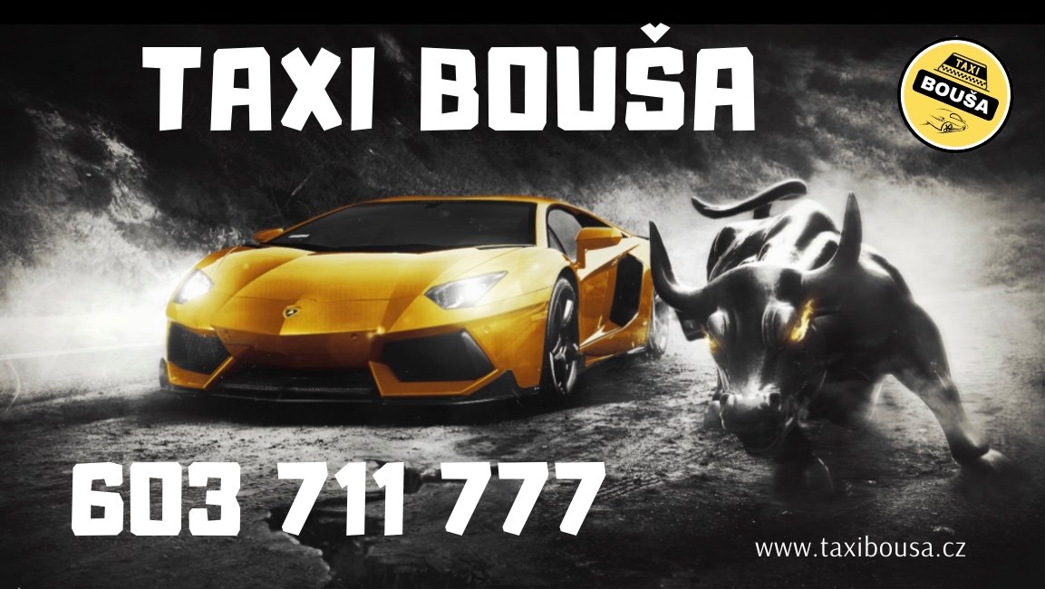 TAXI BOUŠA & LADIES TAXI foto 3