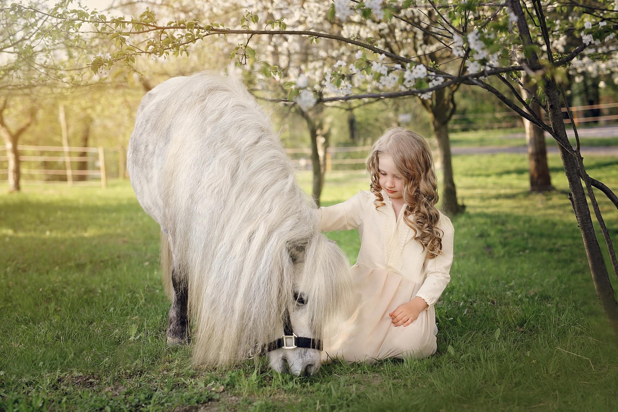Jarošův statek foto 3