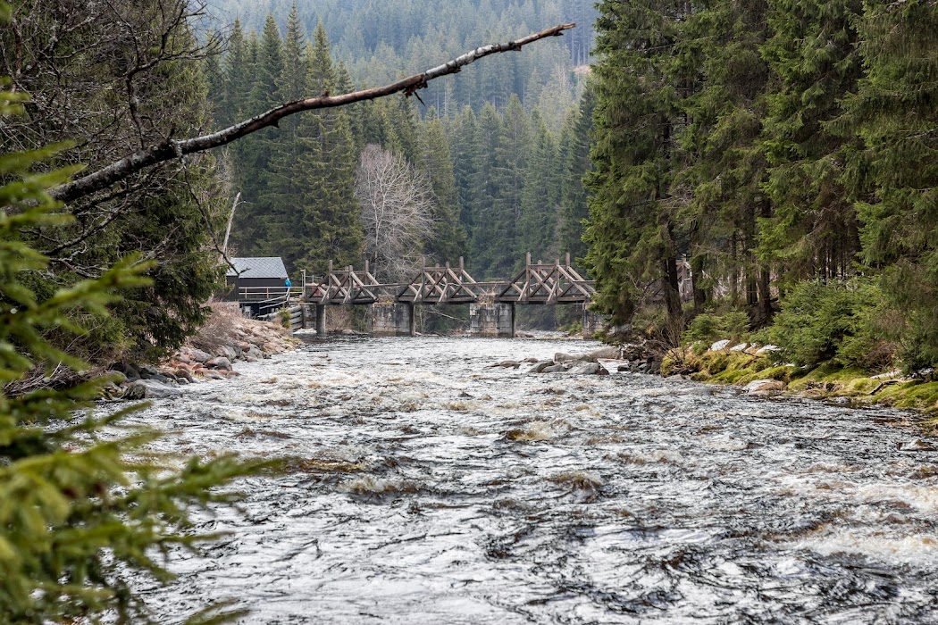 Apartmán Martina Borová Lada foto 2